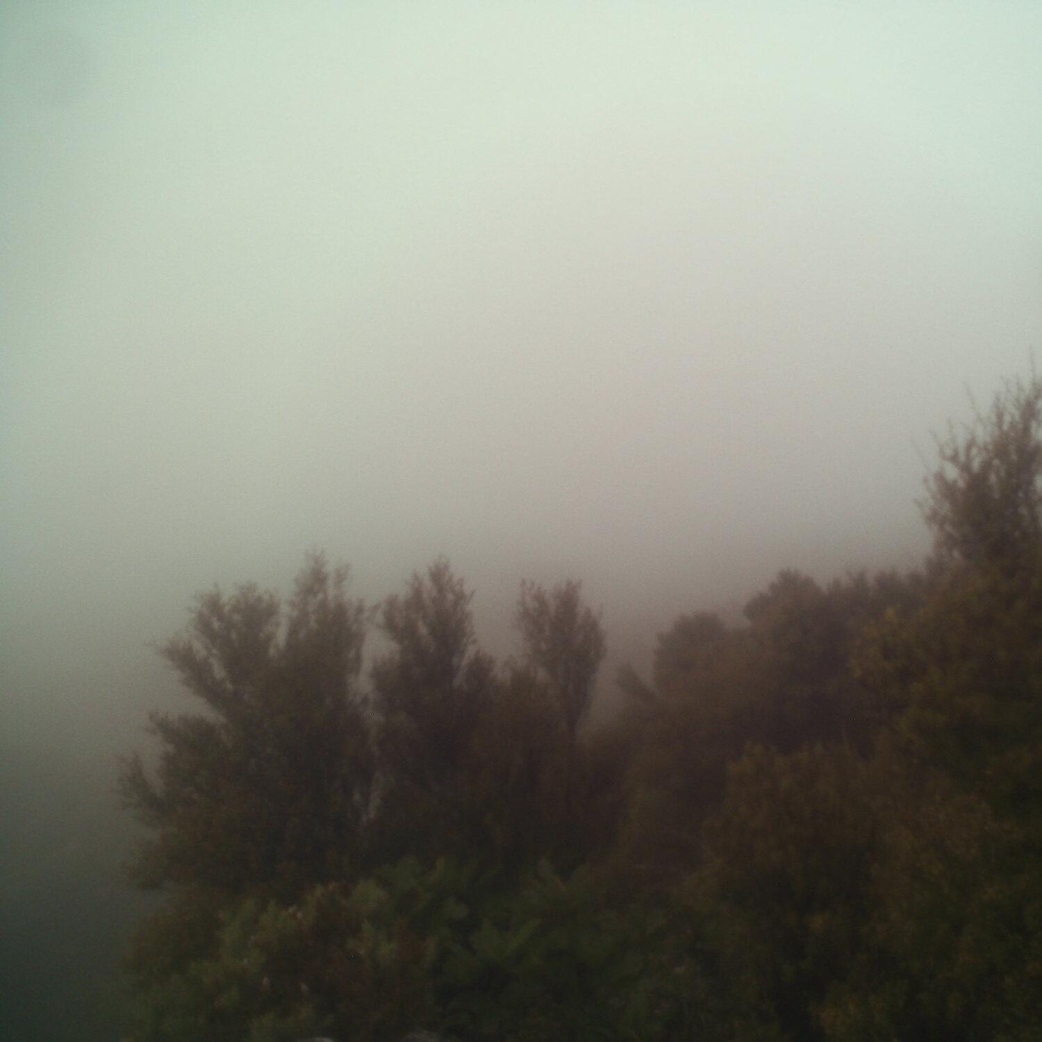 A photo captured from the webcam at the time the audio was recorded