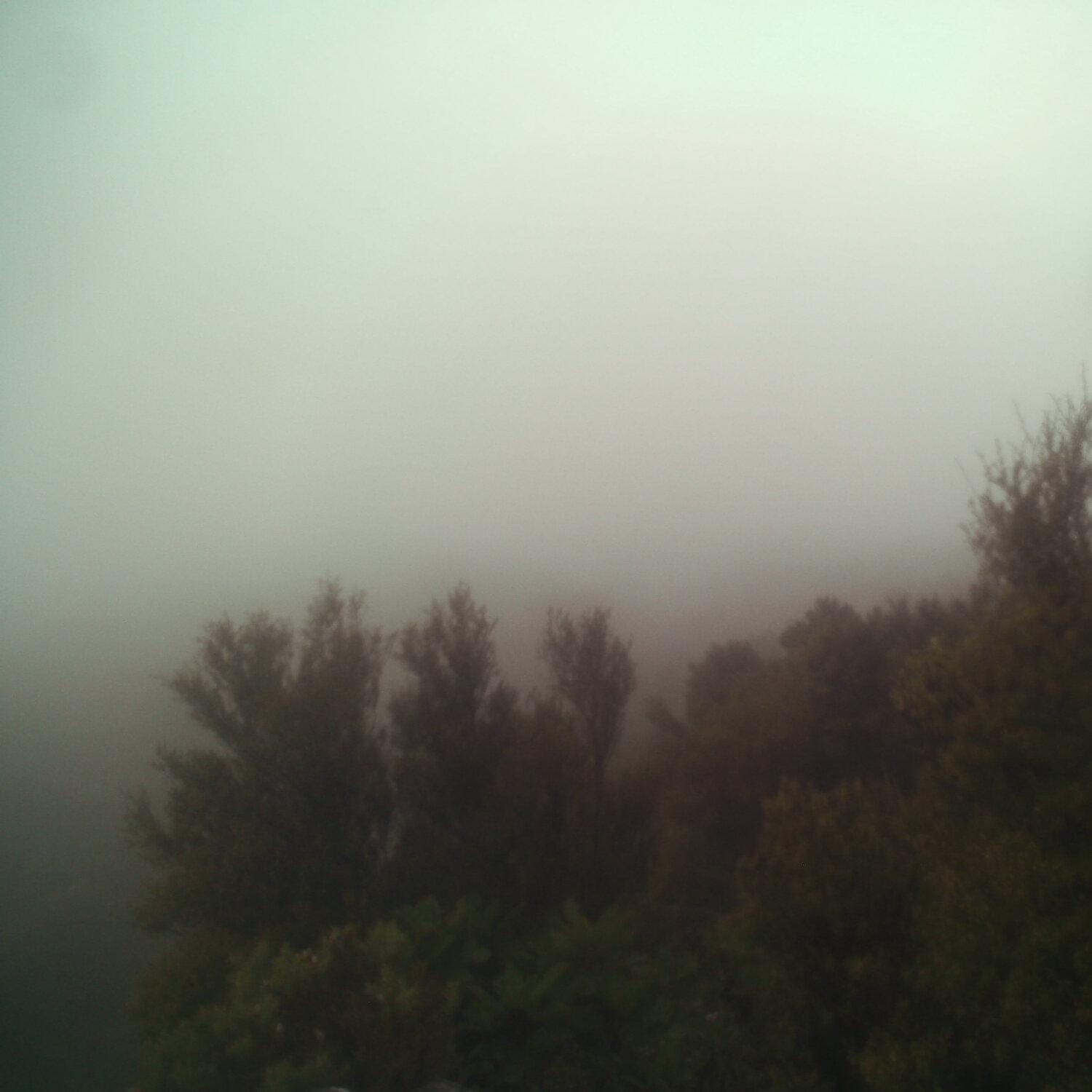 A photo captured from the webcam at the time the audio was recorded