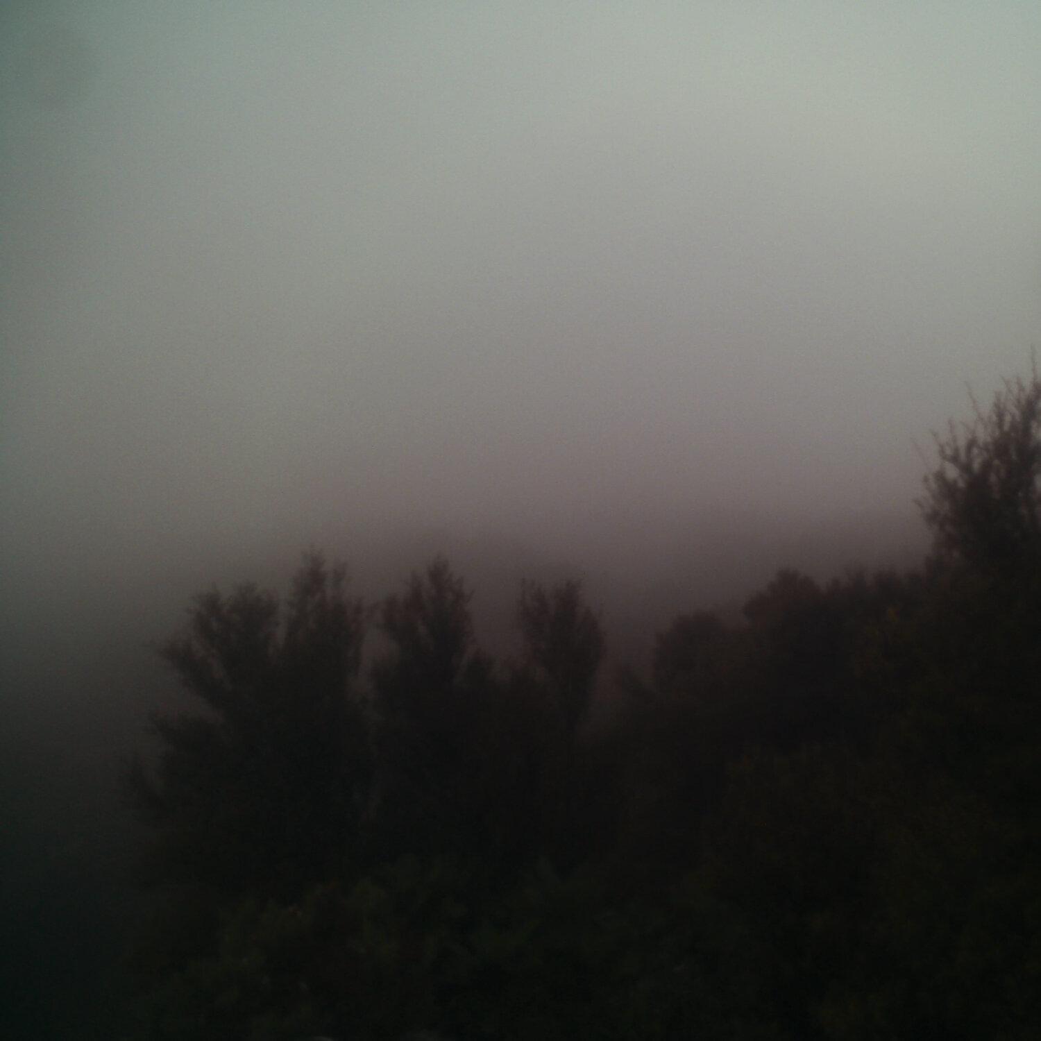 A photo captured from the webcam at the time the audio was recorded