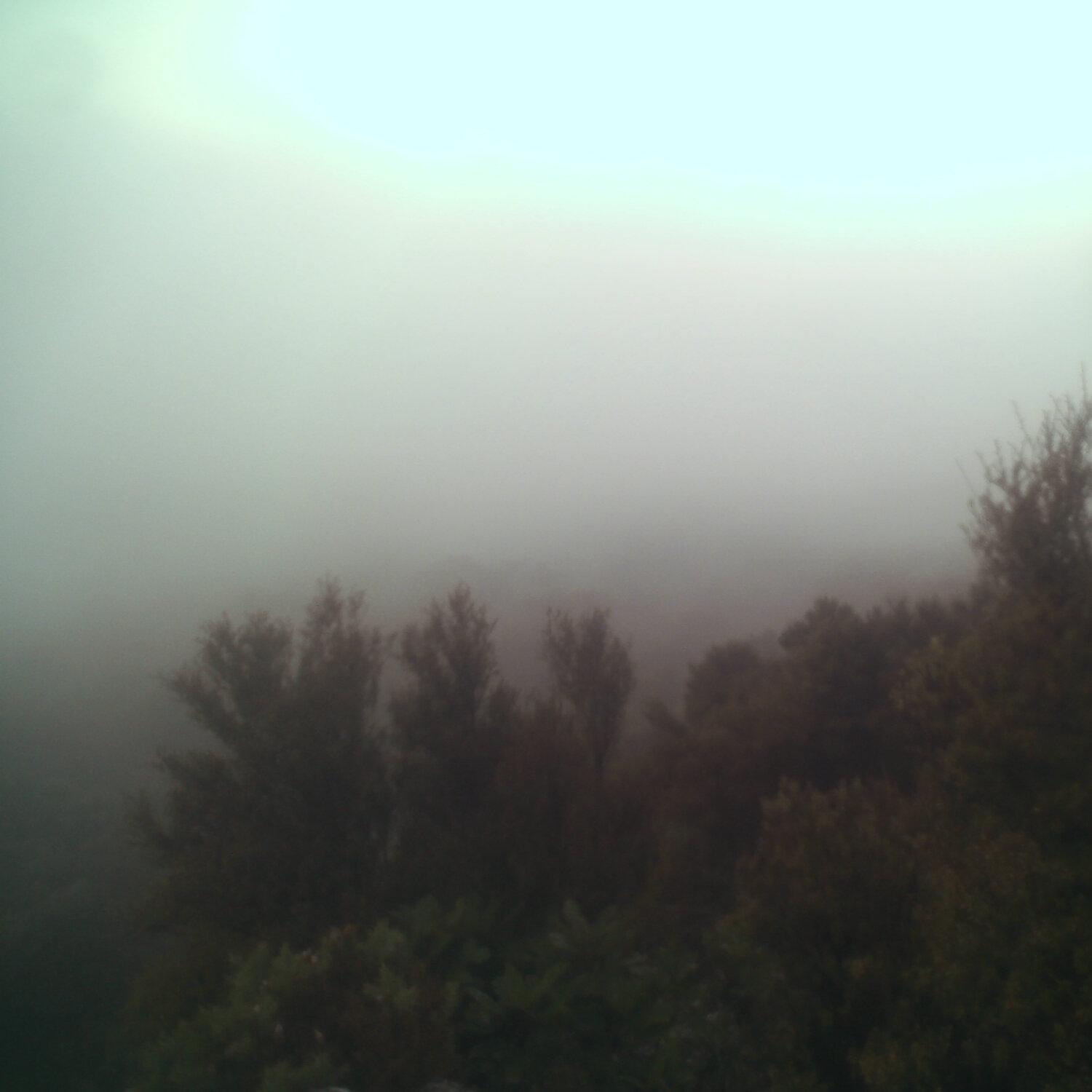 A photo captured from the webcam at the time the audio was recorded