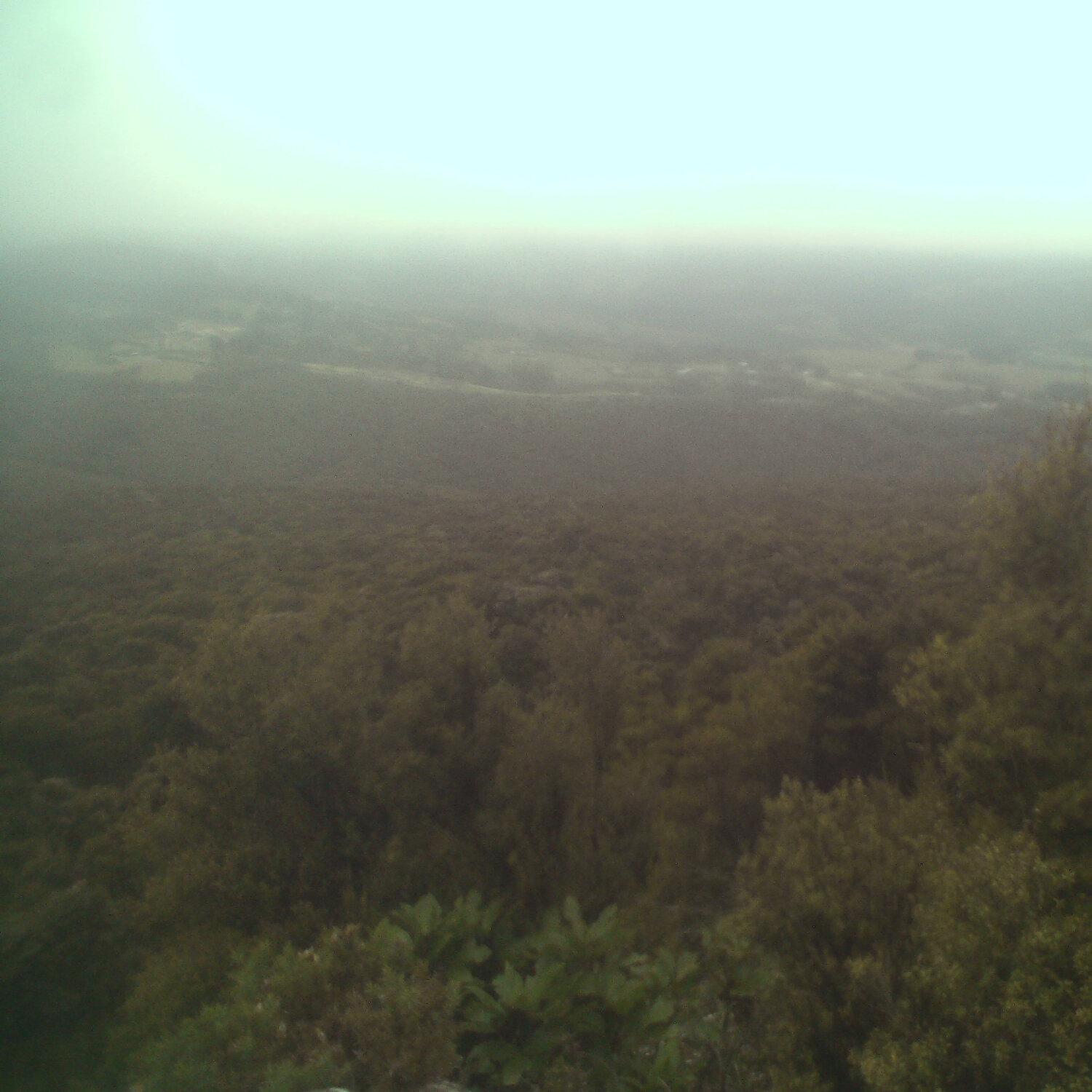 A photo captured from the webcam at the time the audio was recorded
