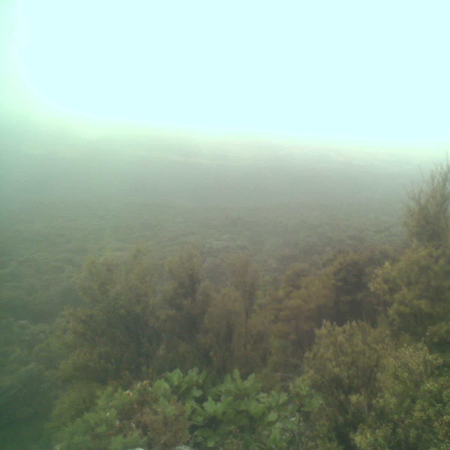 A photo captured from the webcam at the time the audio was recorded