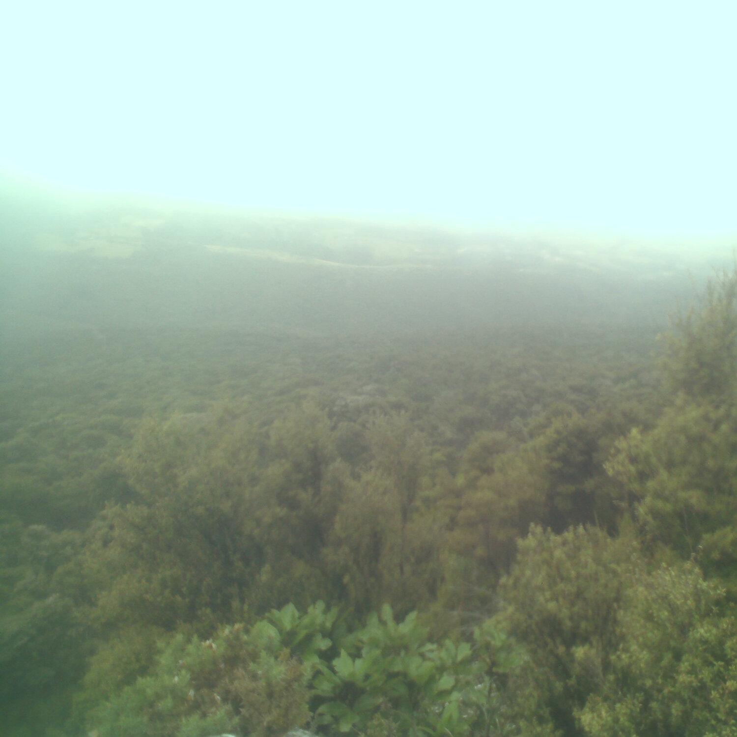 A photo captured from the webcam at the time the audio was recorded