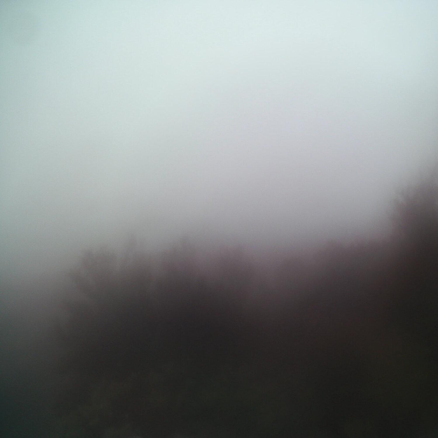 A photo captured from the webcam at the time the audio was recorded