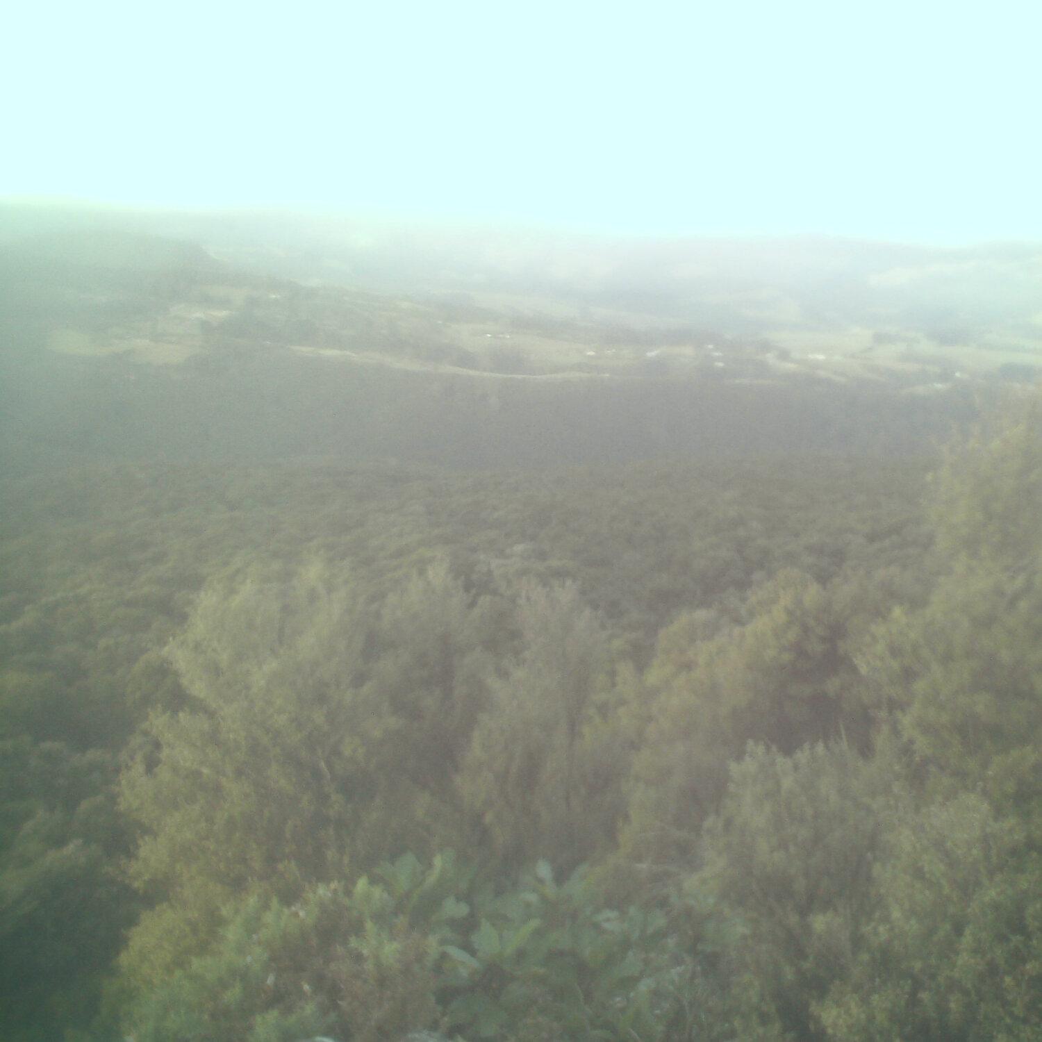 A photo captured from the webcam at the time the audio was recorded