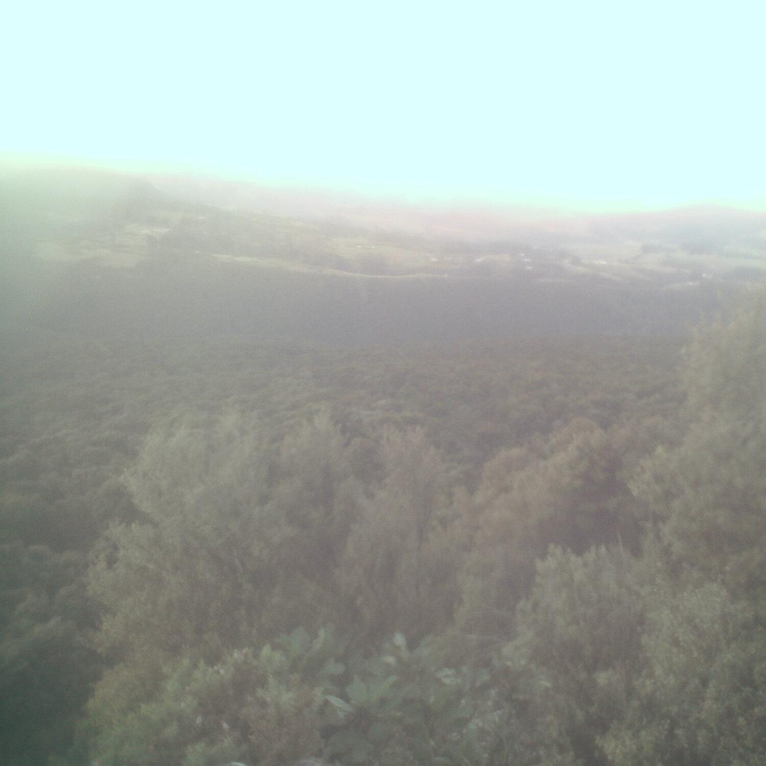 A photo captured from the webcam at the time the audio was recorded