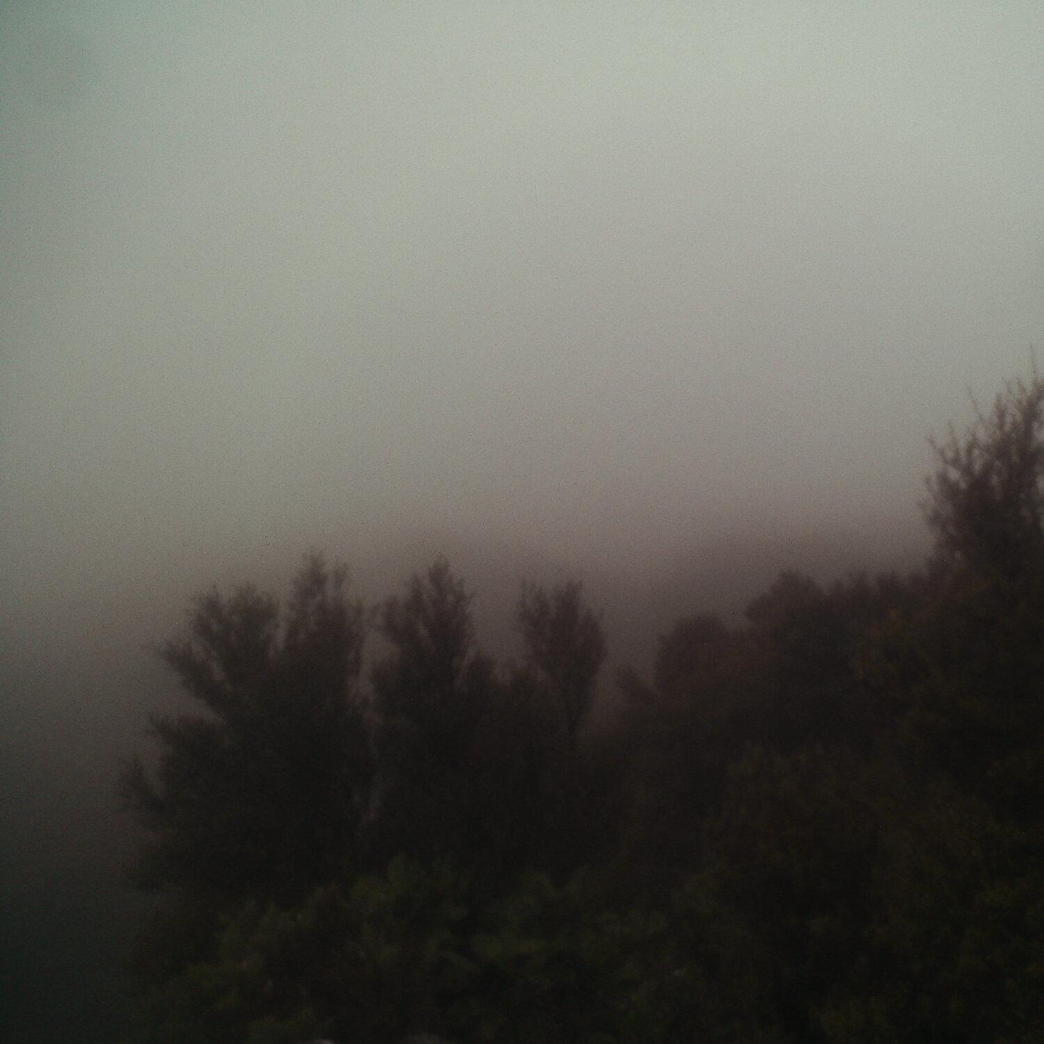A photo captured from the webcam at the time the audio was recorded