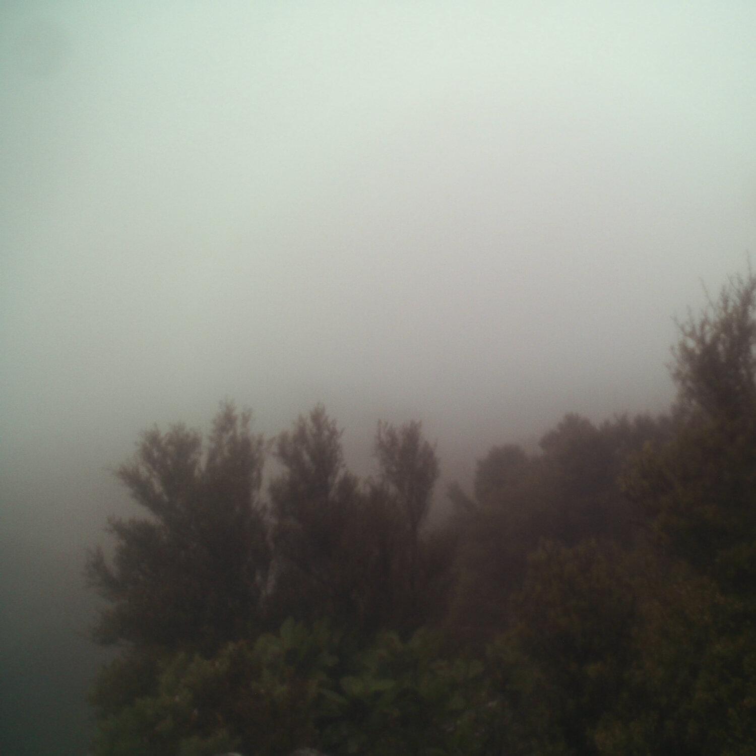 A photo captured from the webcam at the time the audio was recorded