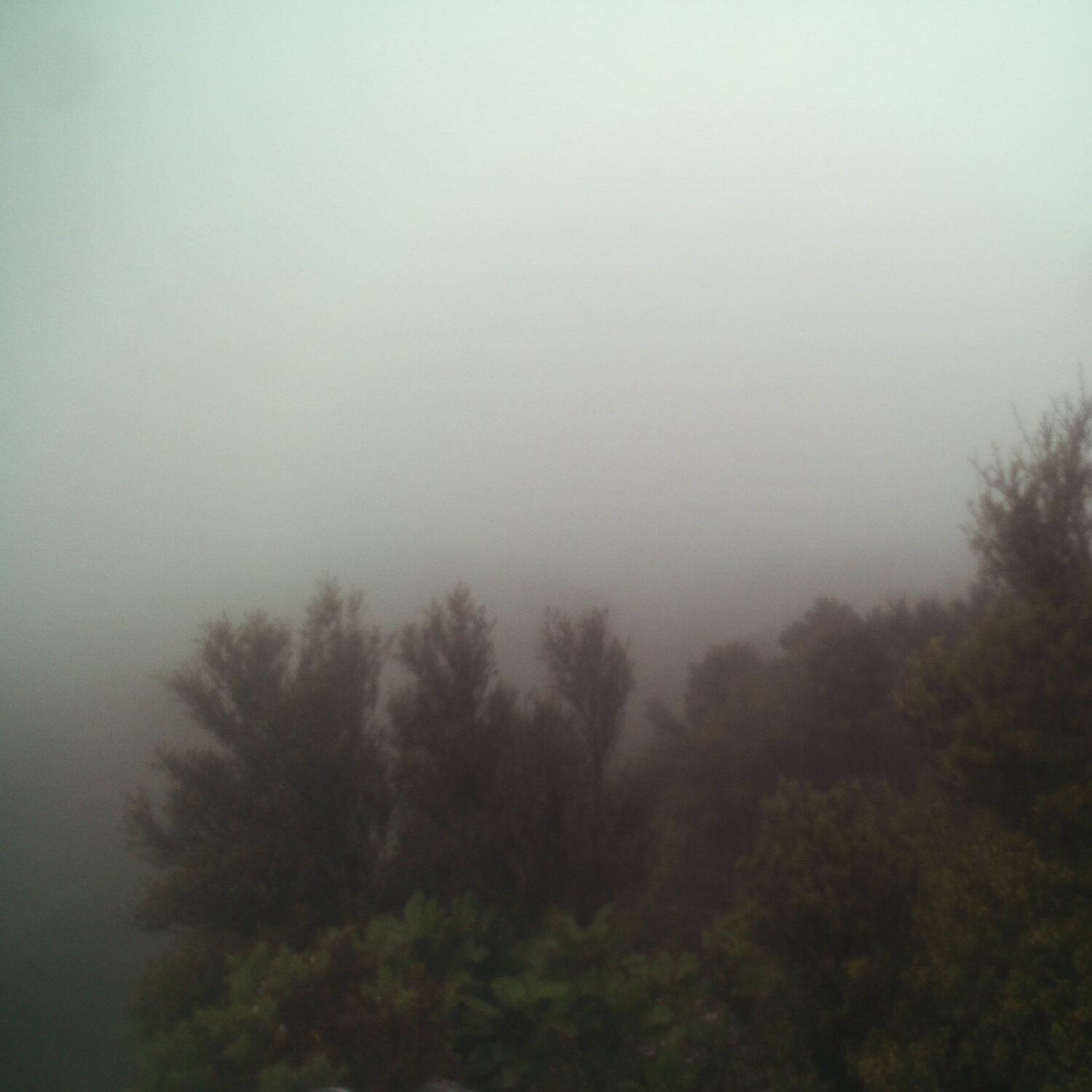 A photo captured from the webcam at the time the audio was recorded