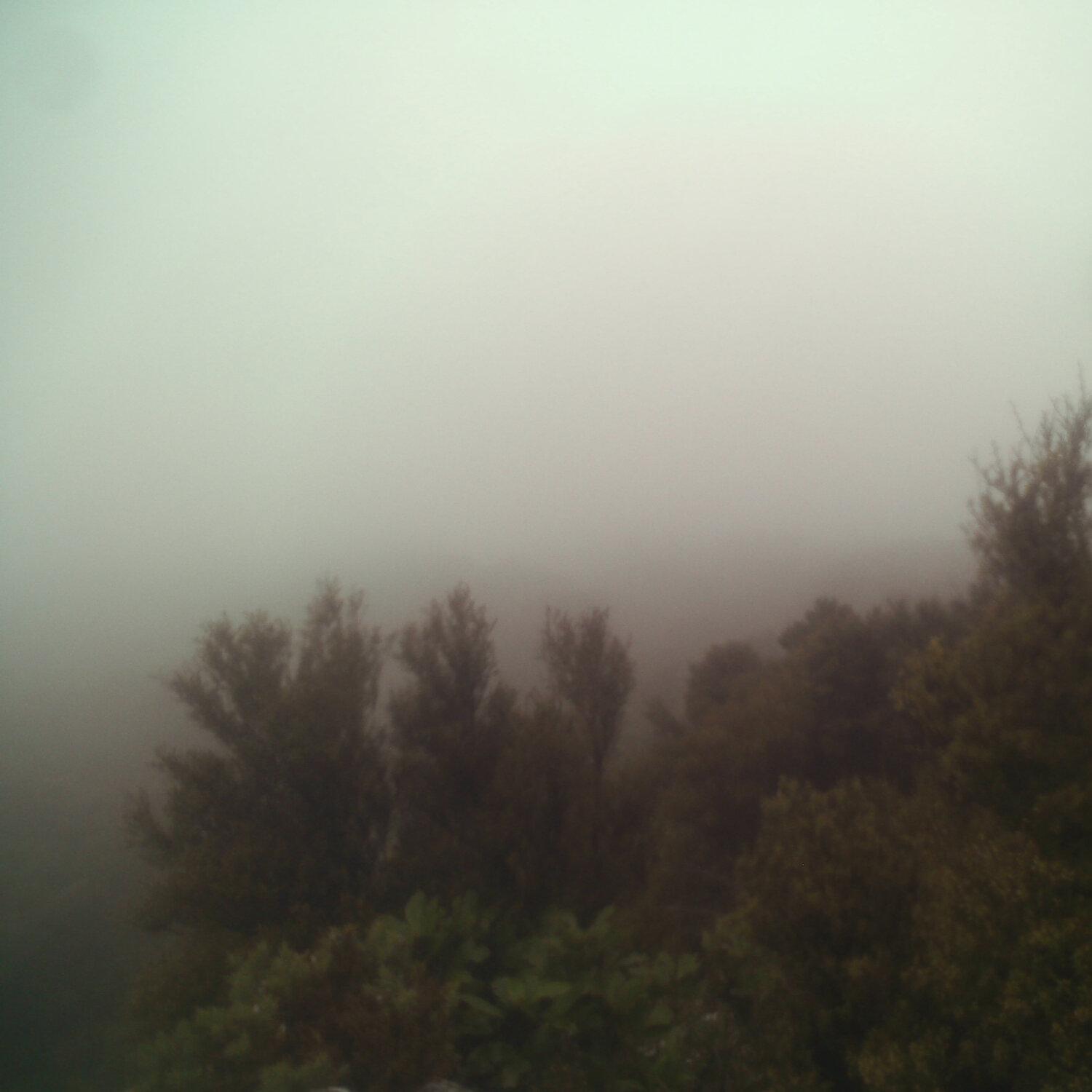A photo captured from the webcam at the time the audio was recorded