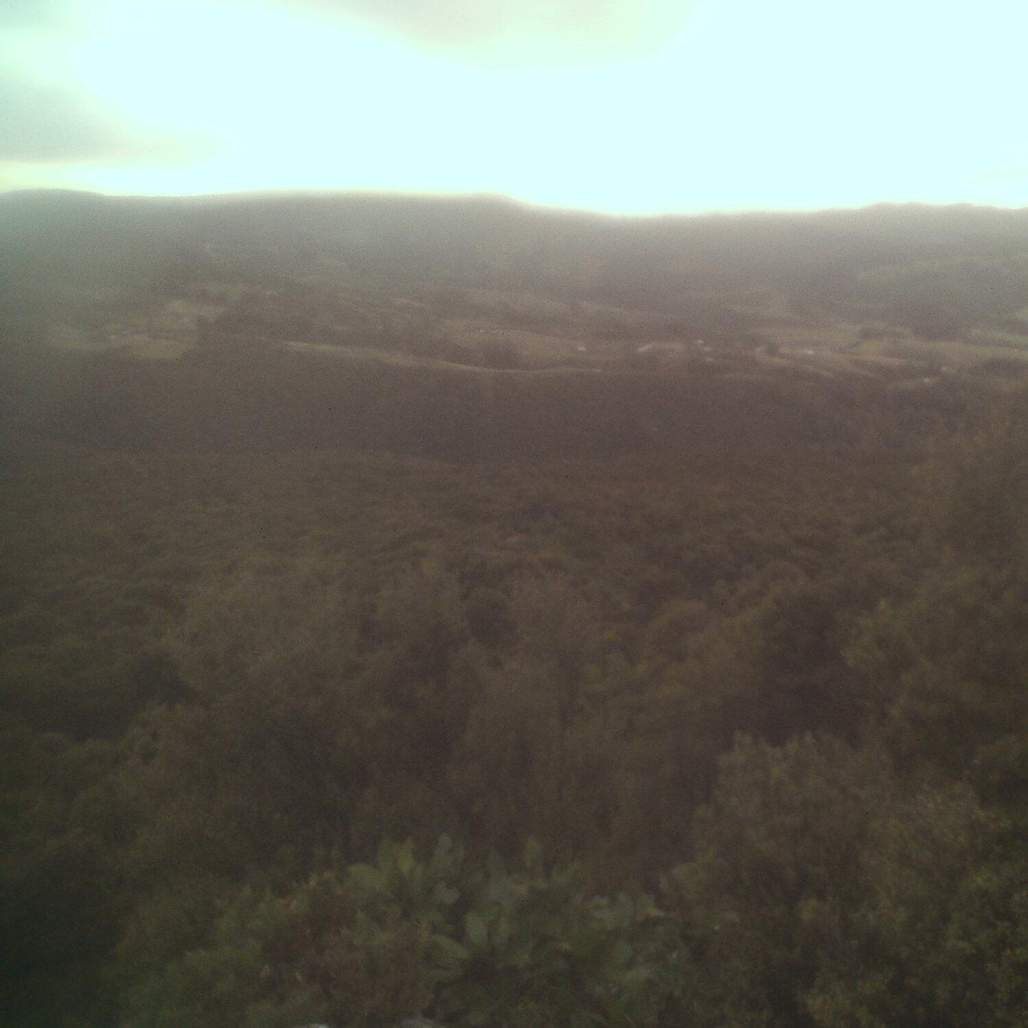 A photo captured from the webcam at the time the audio was recorded
