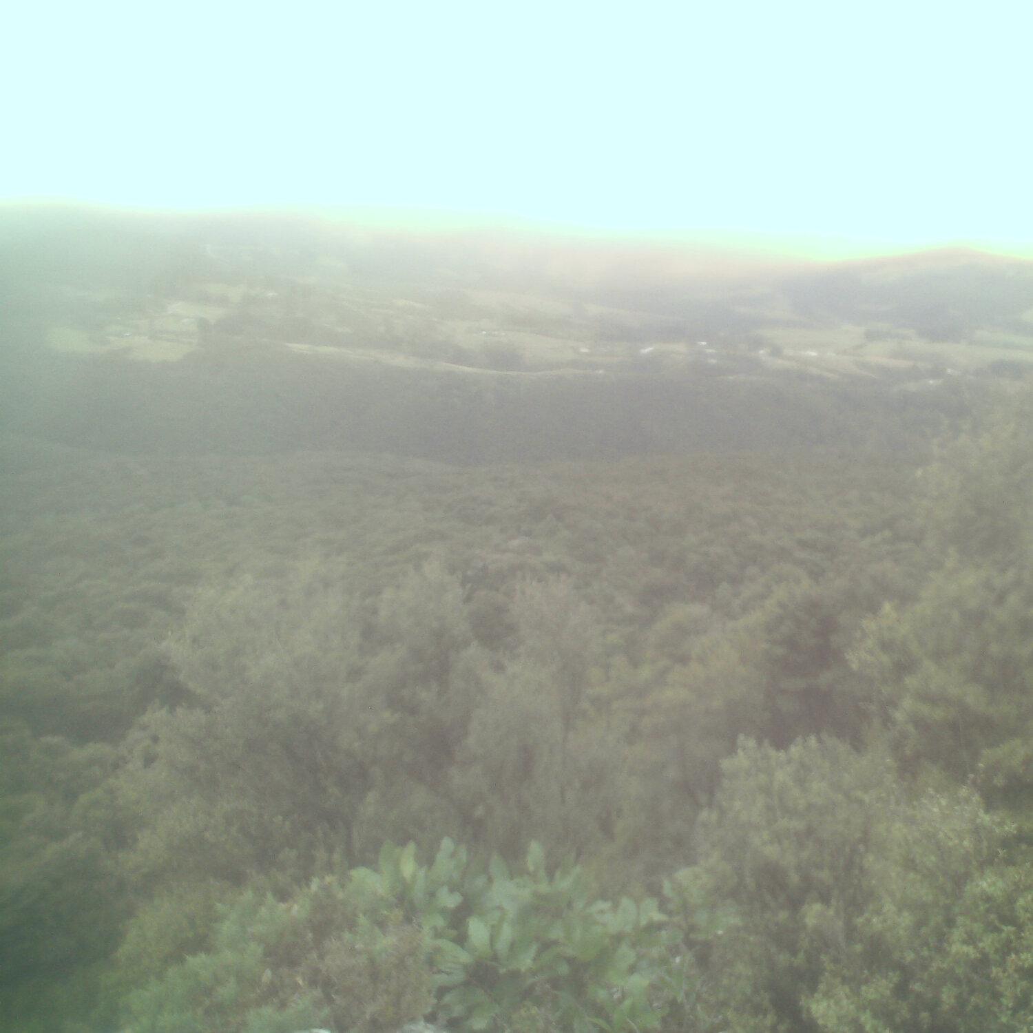 A photo captured from the webcam at the time the audio was recorded