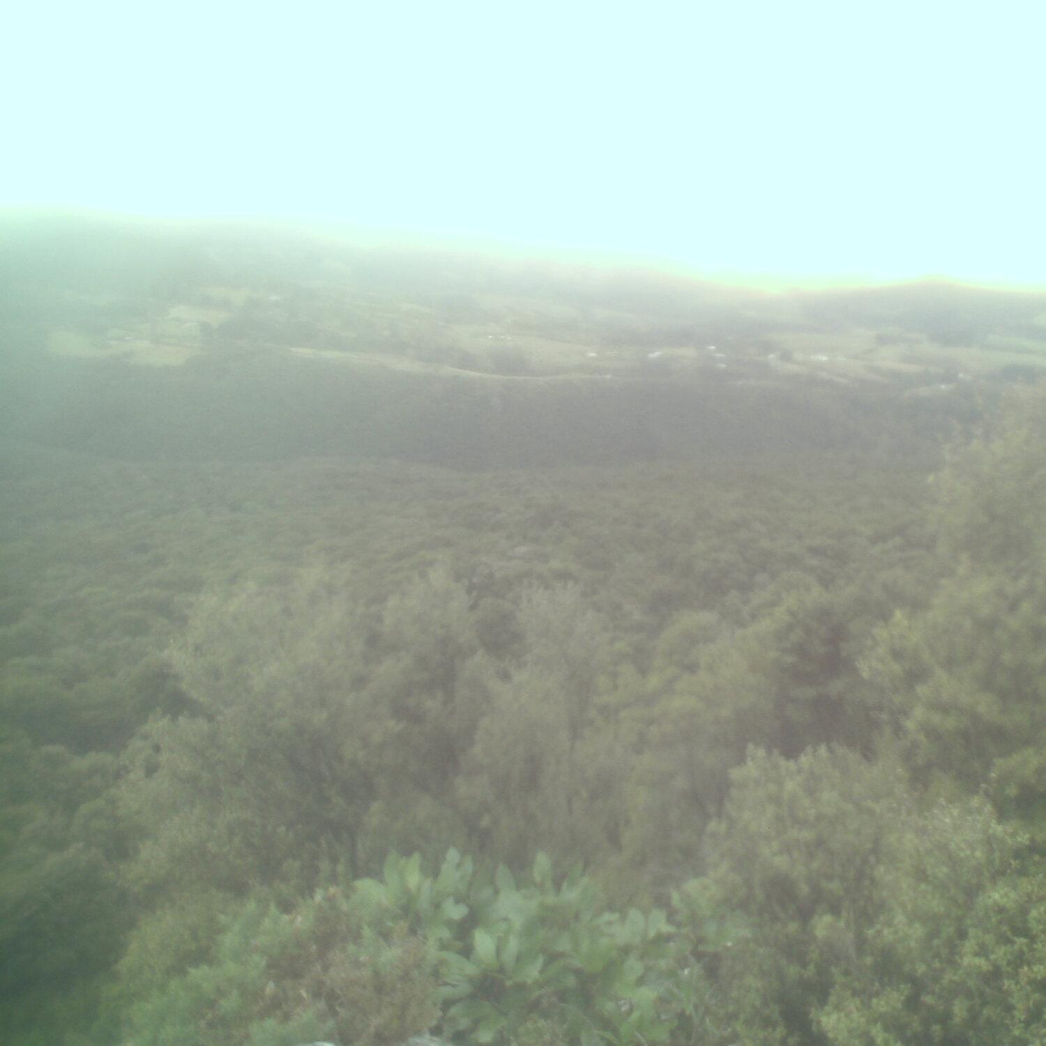 A photo captured from the webcam at the time the audio was recorded