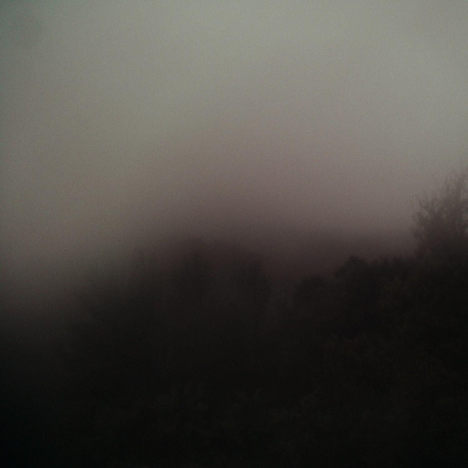A photo captured from the webcam at the time the audio was recorded