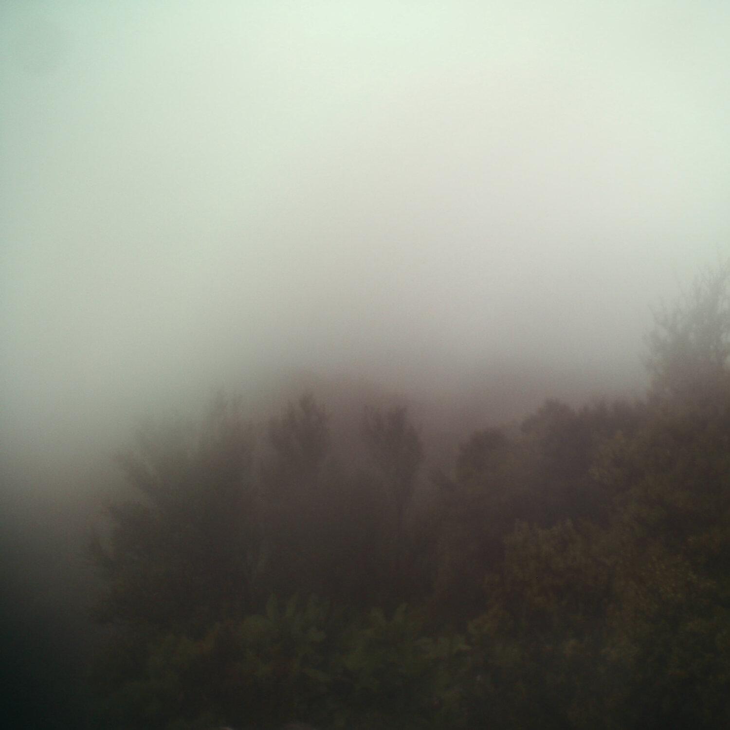 A photo captured from the webcam at the time the audio was recorded