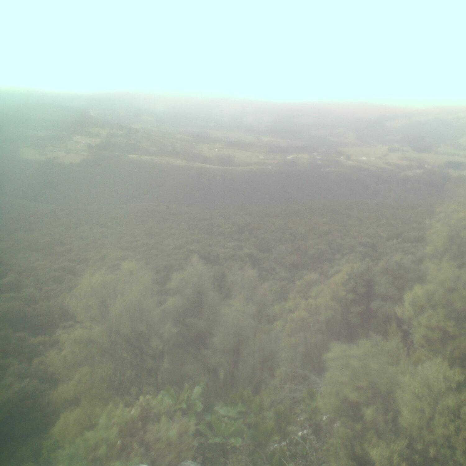 A photo captured from the webcam at the time the audio was recorded