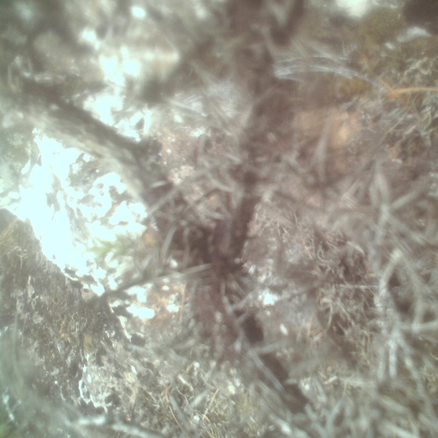 A photo captured from the webcam at the time the audio was recorded