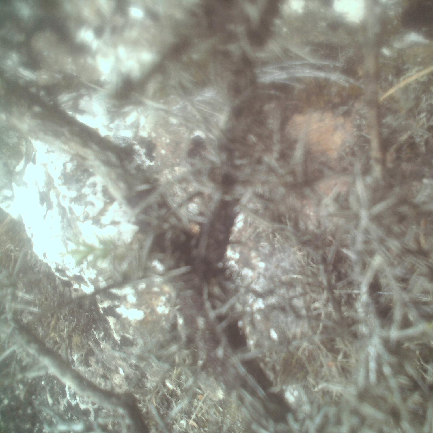 A photo captured from the webcam at the time the audio was recorded