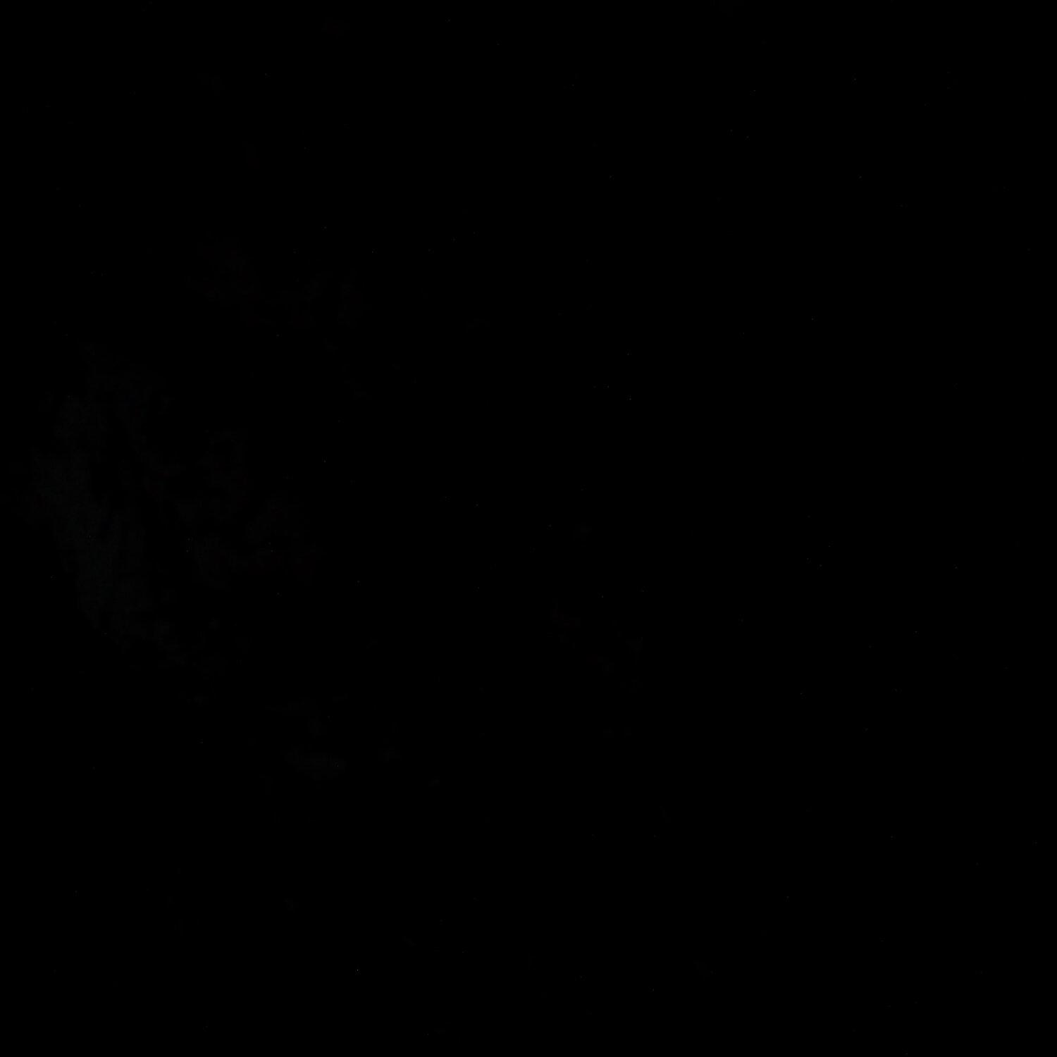 A photo captured from the webcam at the time the audio was recorded