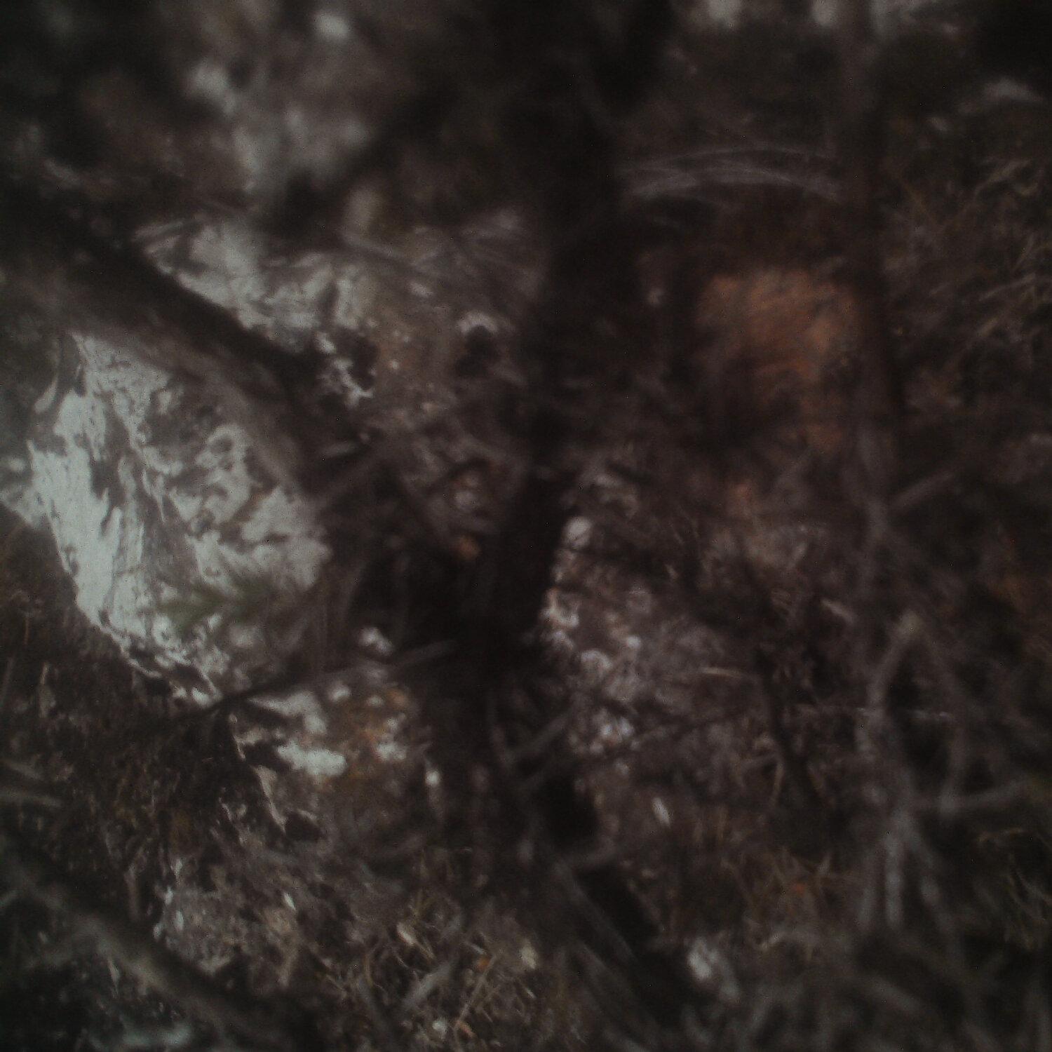A photo captured from the webcam at the time the audio was recorded