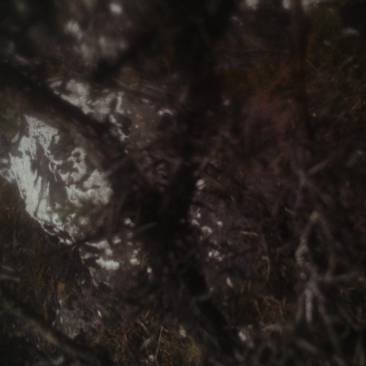 A photo captured from the webcam at the time the audio was recorded