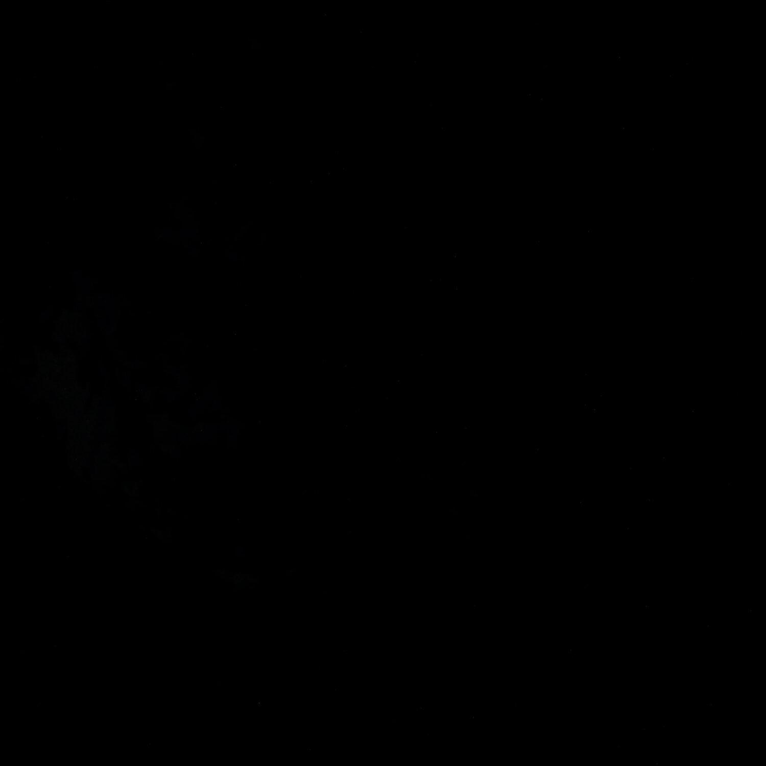 A photo captured from the webcam at the time the audio was recorded