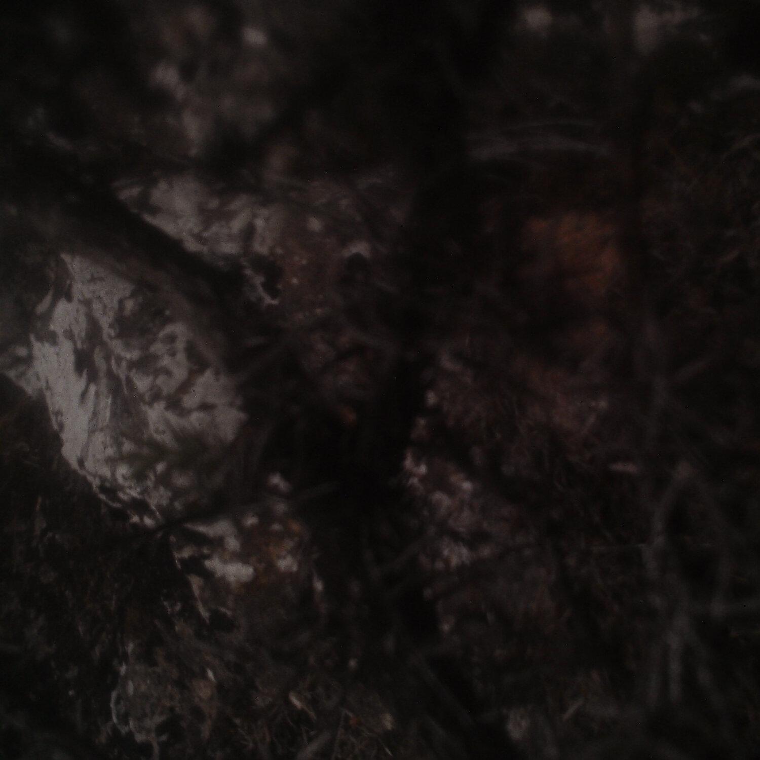 A photo captured from the webcam at the time the audio was recorded