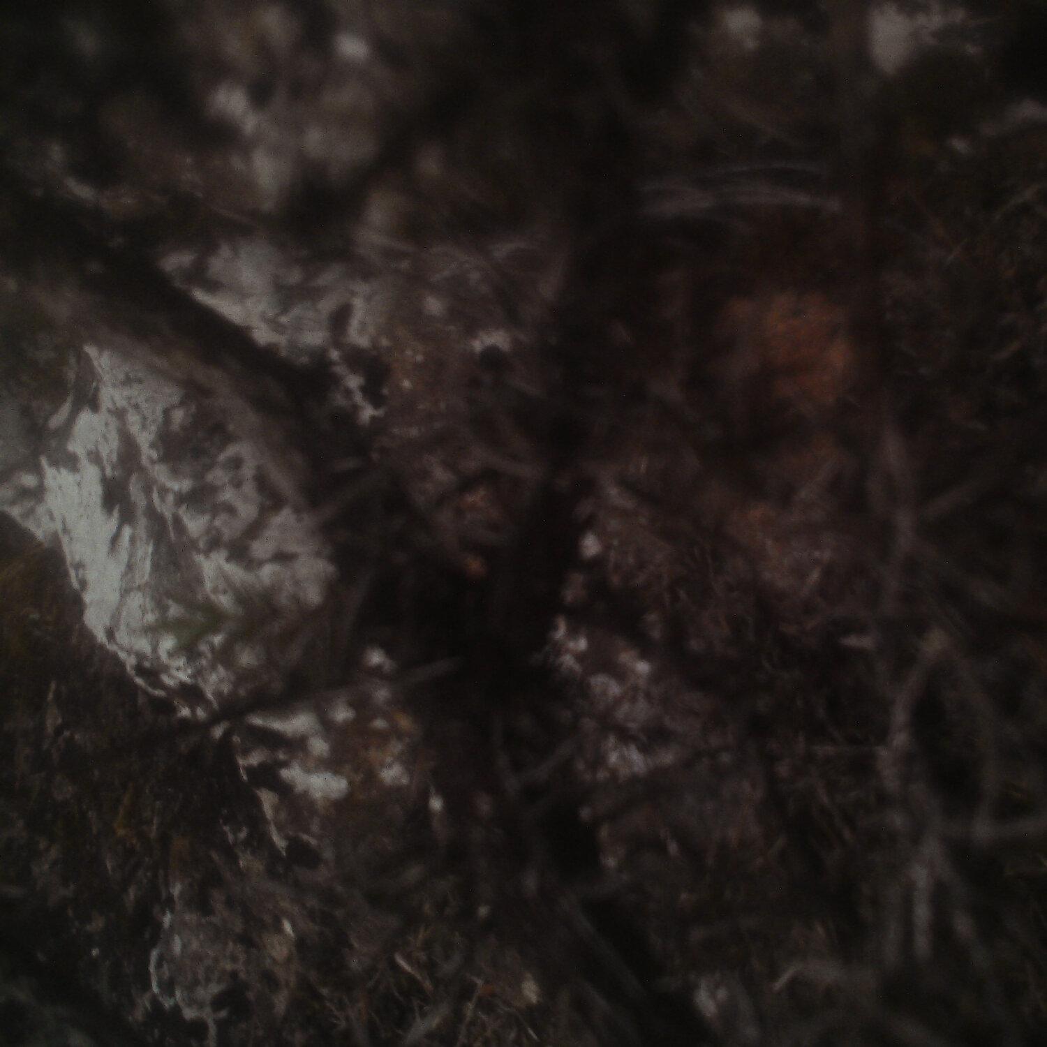 A photo captured from the webcam at the time the audio was recorded