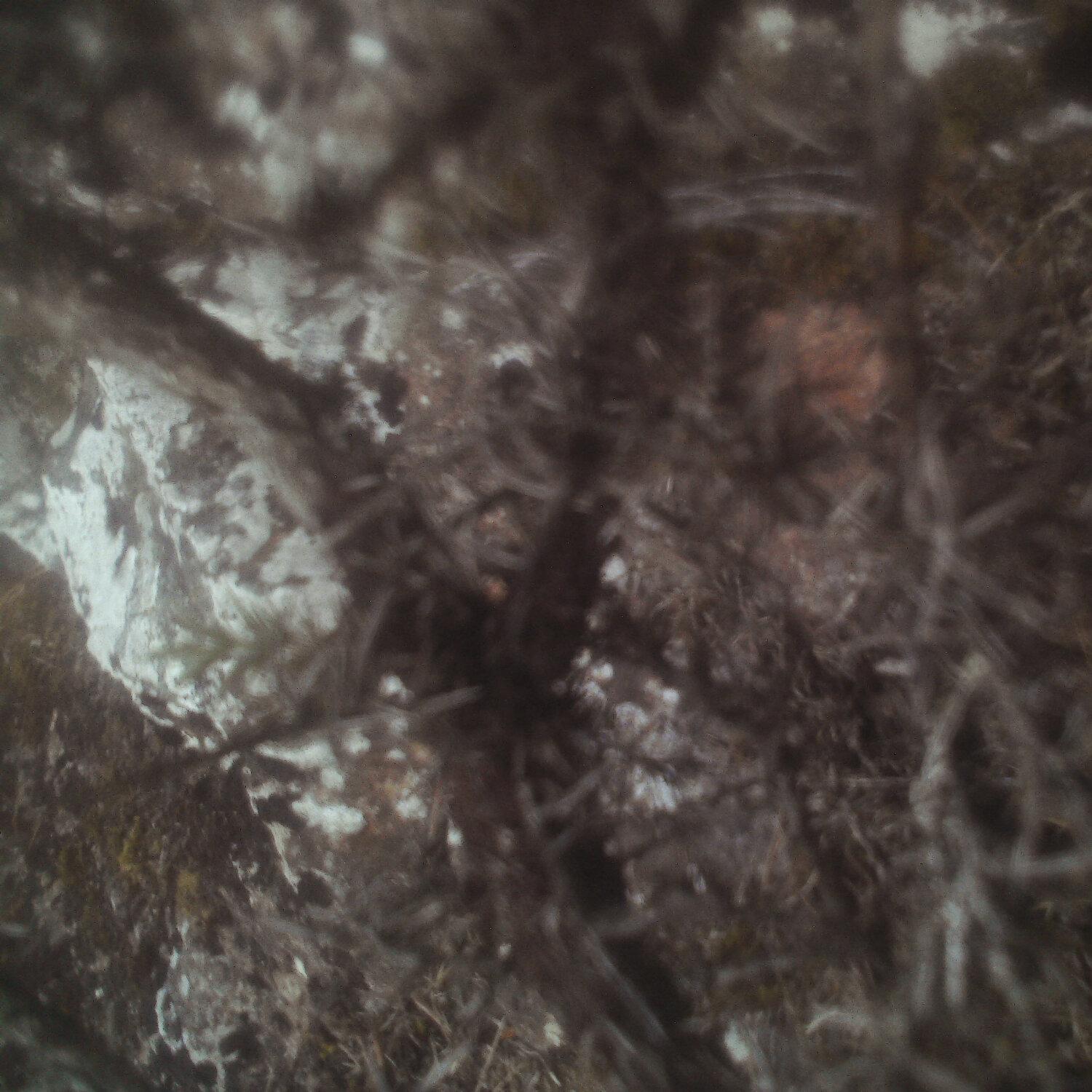 A photo captured from the webcam at the time the audio was recorded
