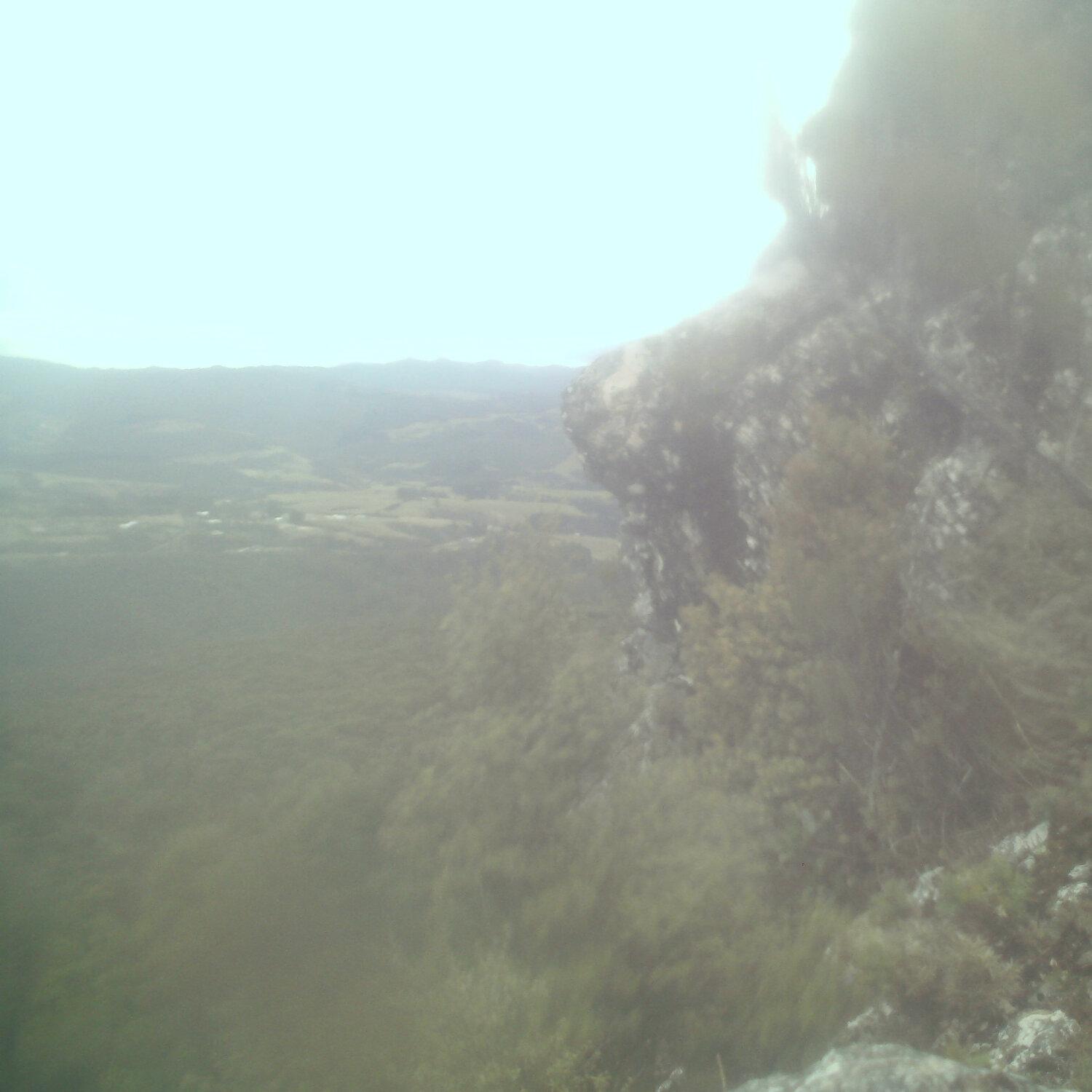 A photo captured from the webcam at the time the audio was recorded