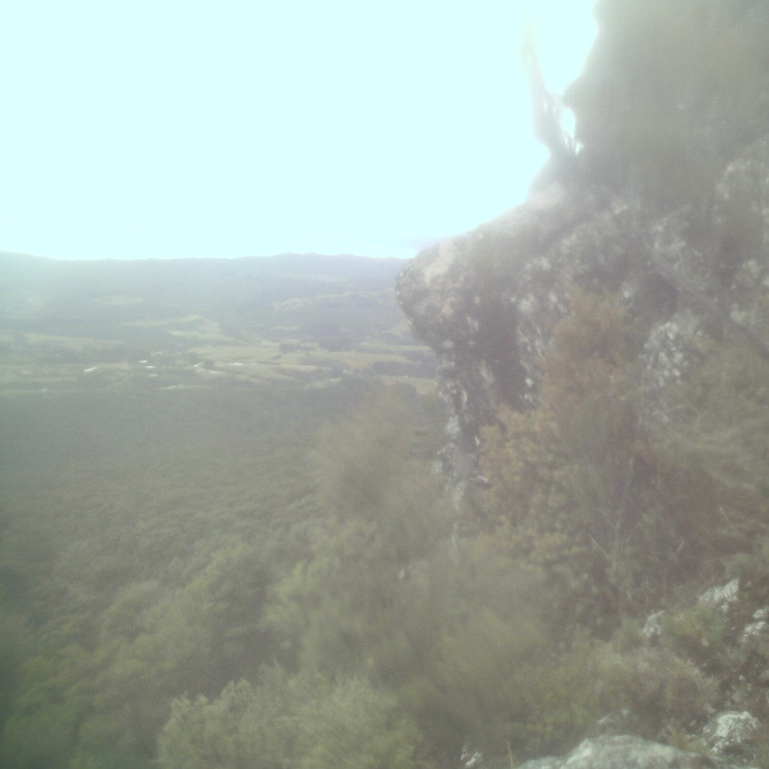 A photo captured from the webcam at the time the audio was recorded