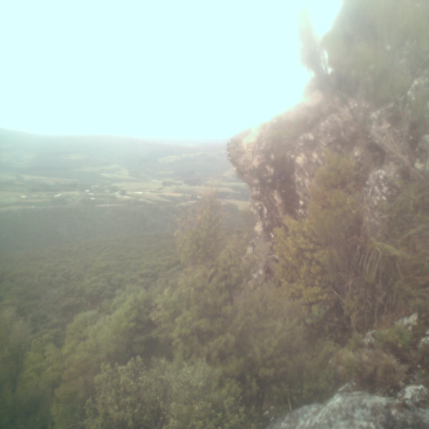 A photo captured from the webcam at the time the audio was recorded