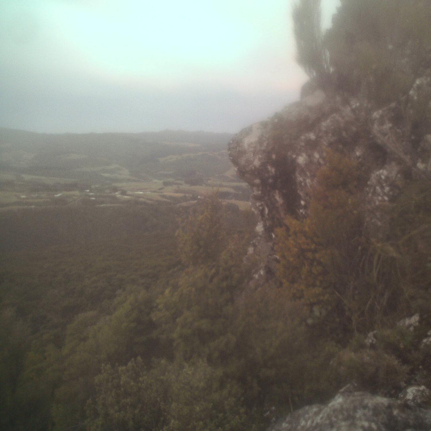 A photo captured from the webcam at the time the audio was recorded