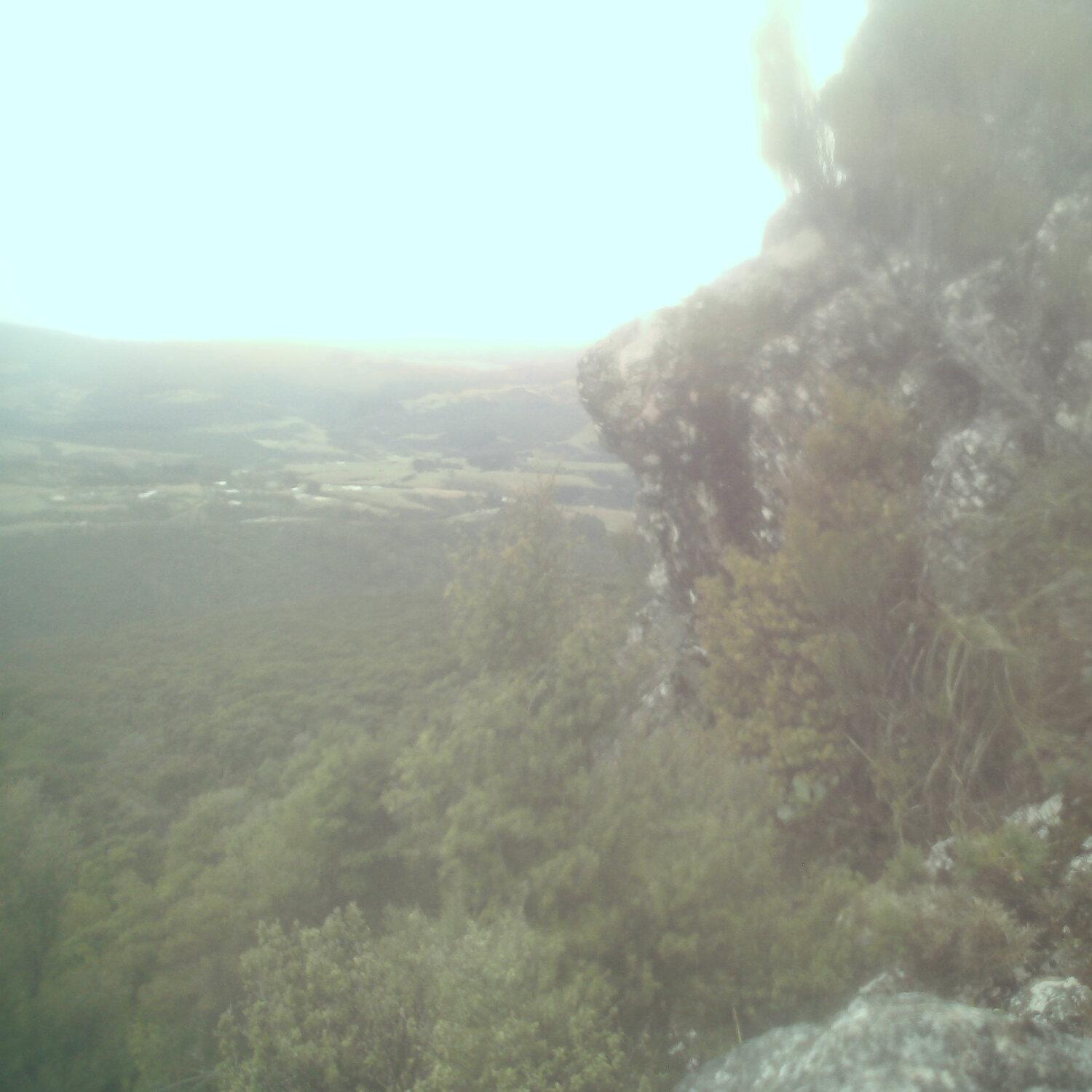 A photo captured from the webcam at the time the audio was recorded