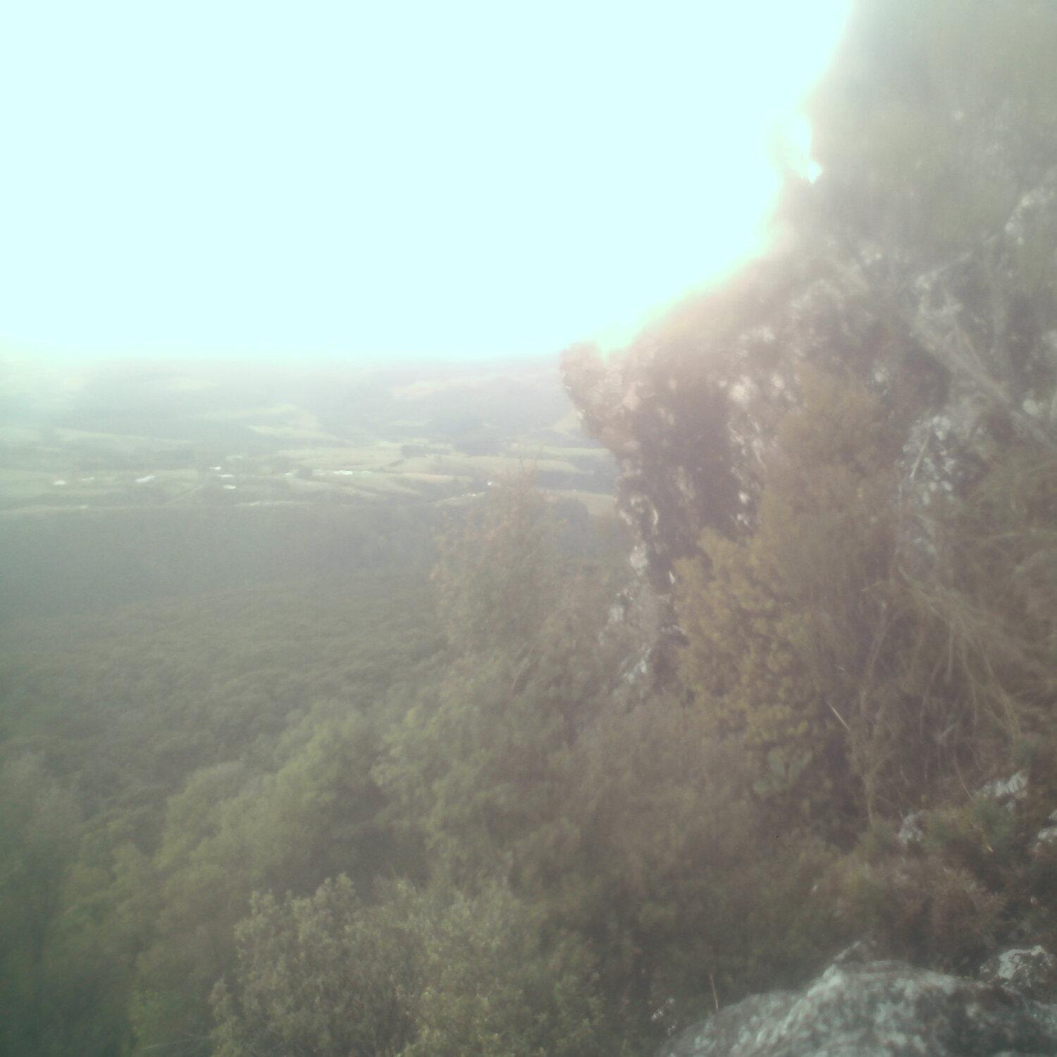 A photo captured from the webcam at the time the audio was recorded