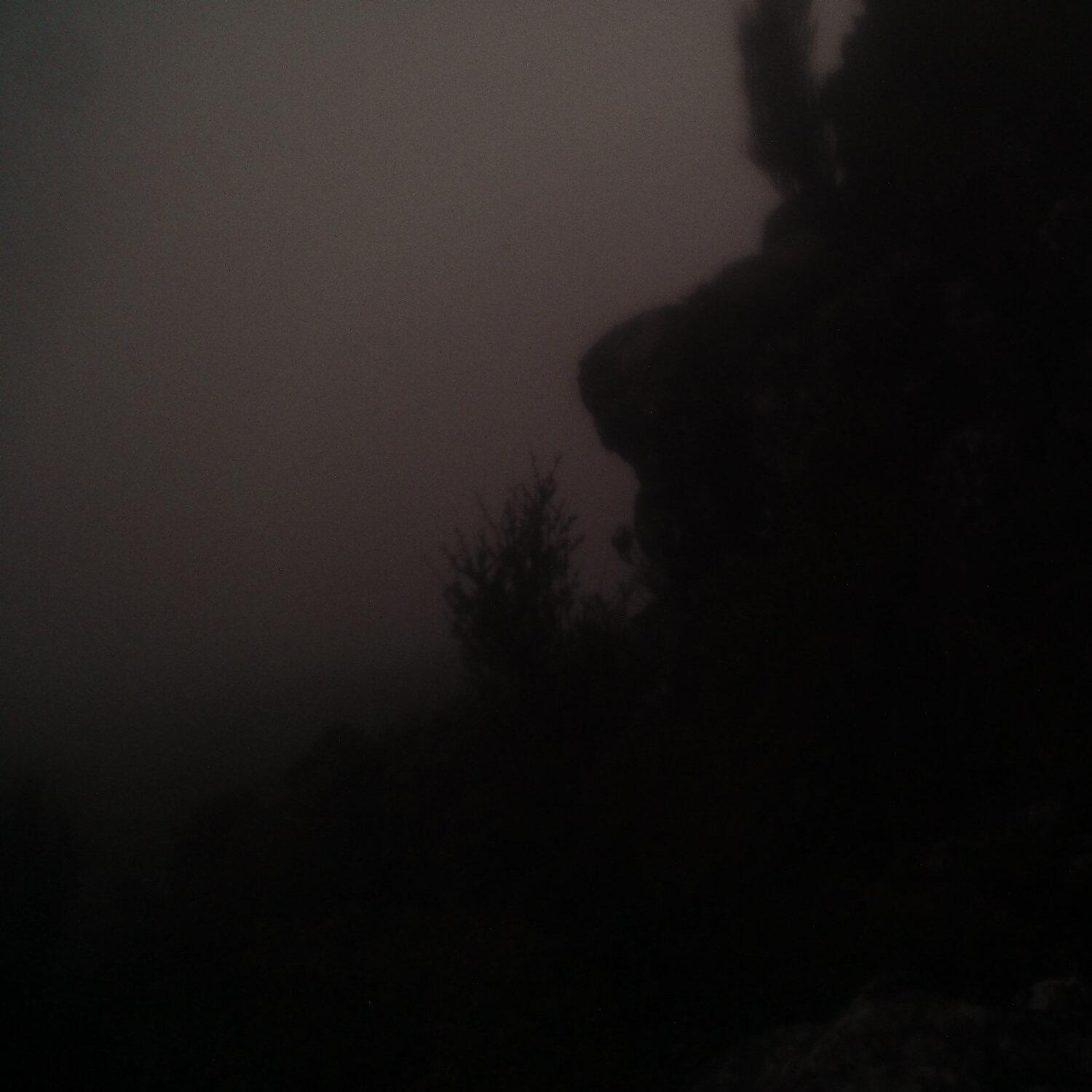 A photo captured from the webcam at the time the audio was recorded