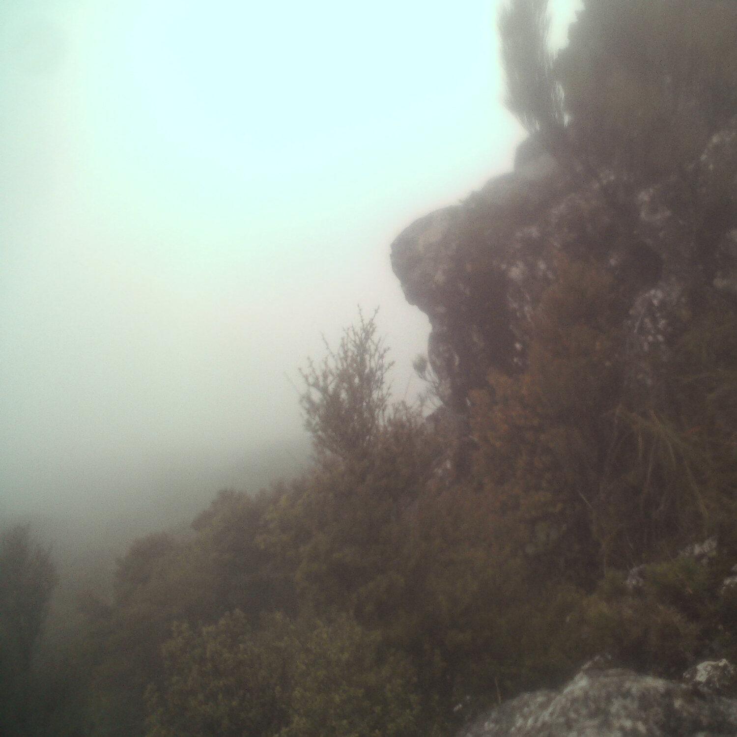 A photo captured from the webcam at the time the audio was recorded