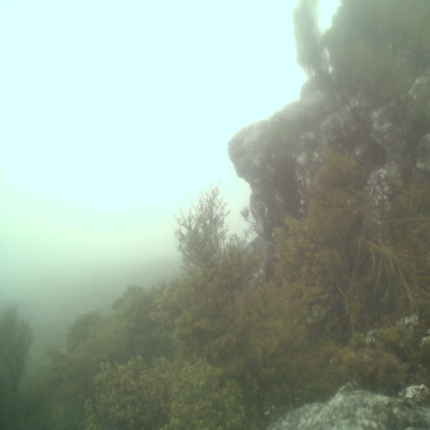 A photo captured from the webcam at the time the audio was recorded