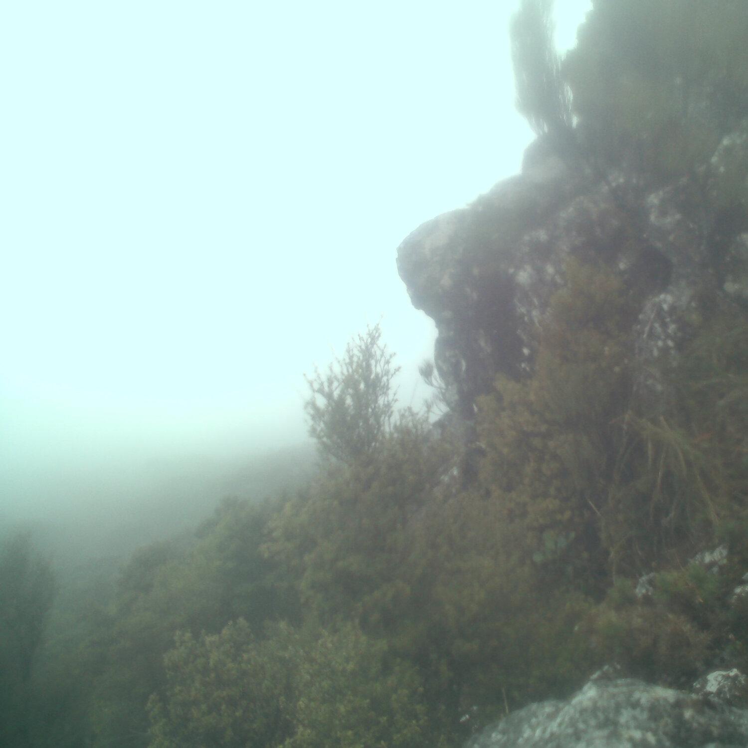 A photo captured from the webcam at the time the audio was recorded
