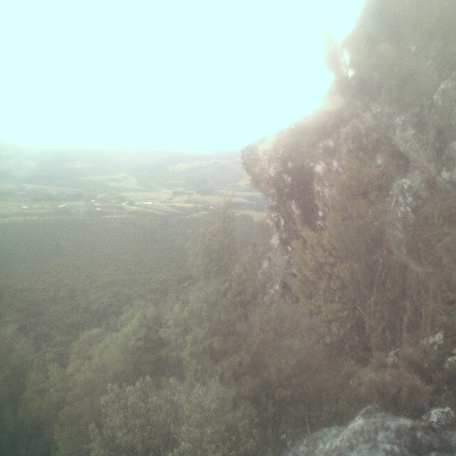 A photo captured from the webcam at the time the audio was recorded