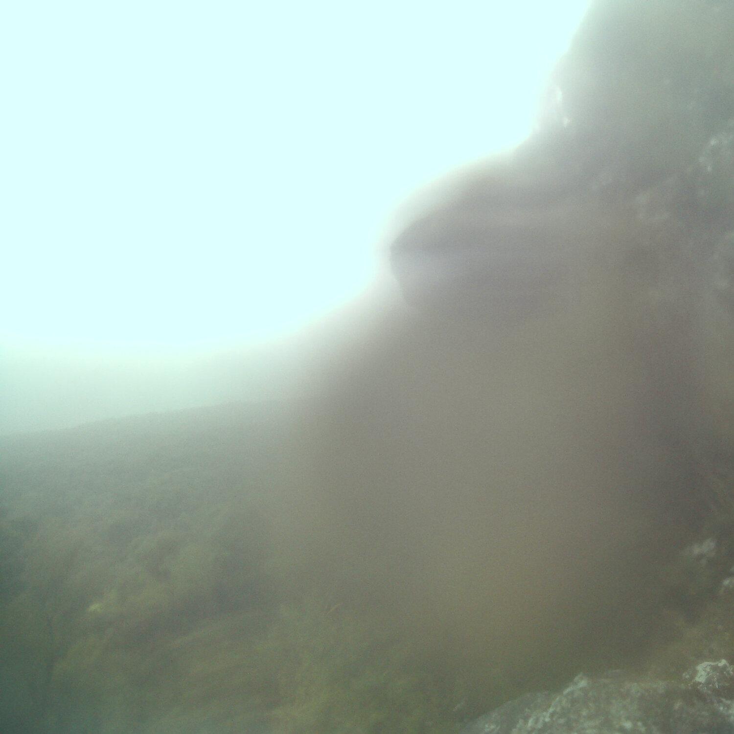 A photo captured from the webcam at the time the audio was recorded