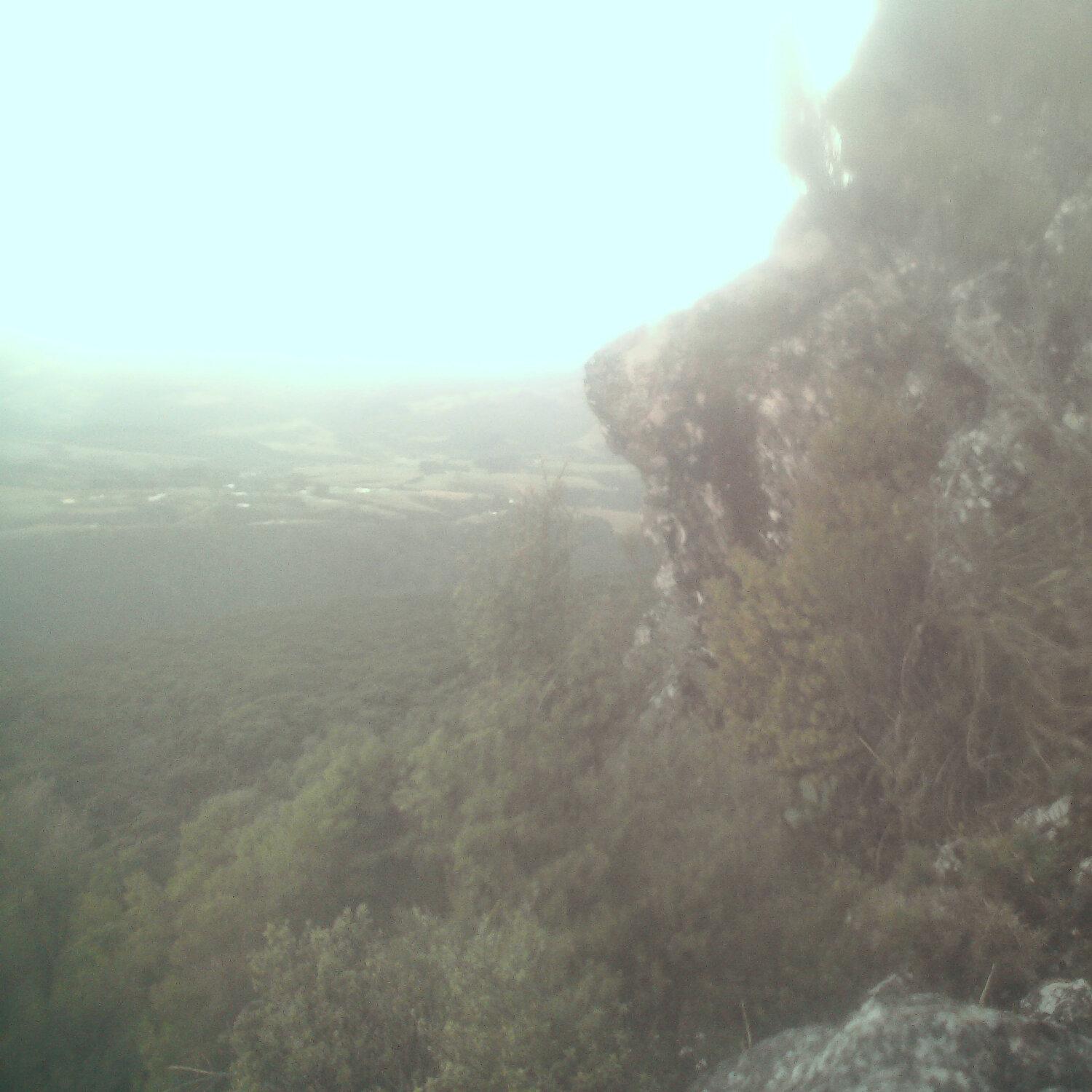 A photo captured from the webcam at the time the audio was recorded