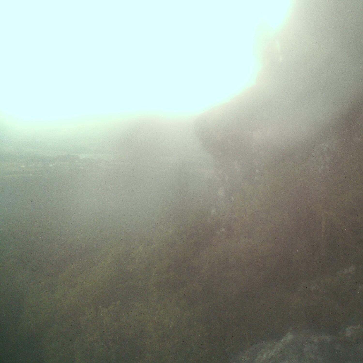 A photo captured from the webcam at the time the audio was recorded