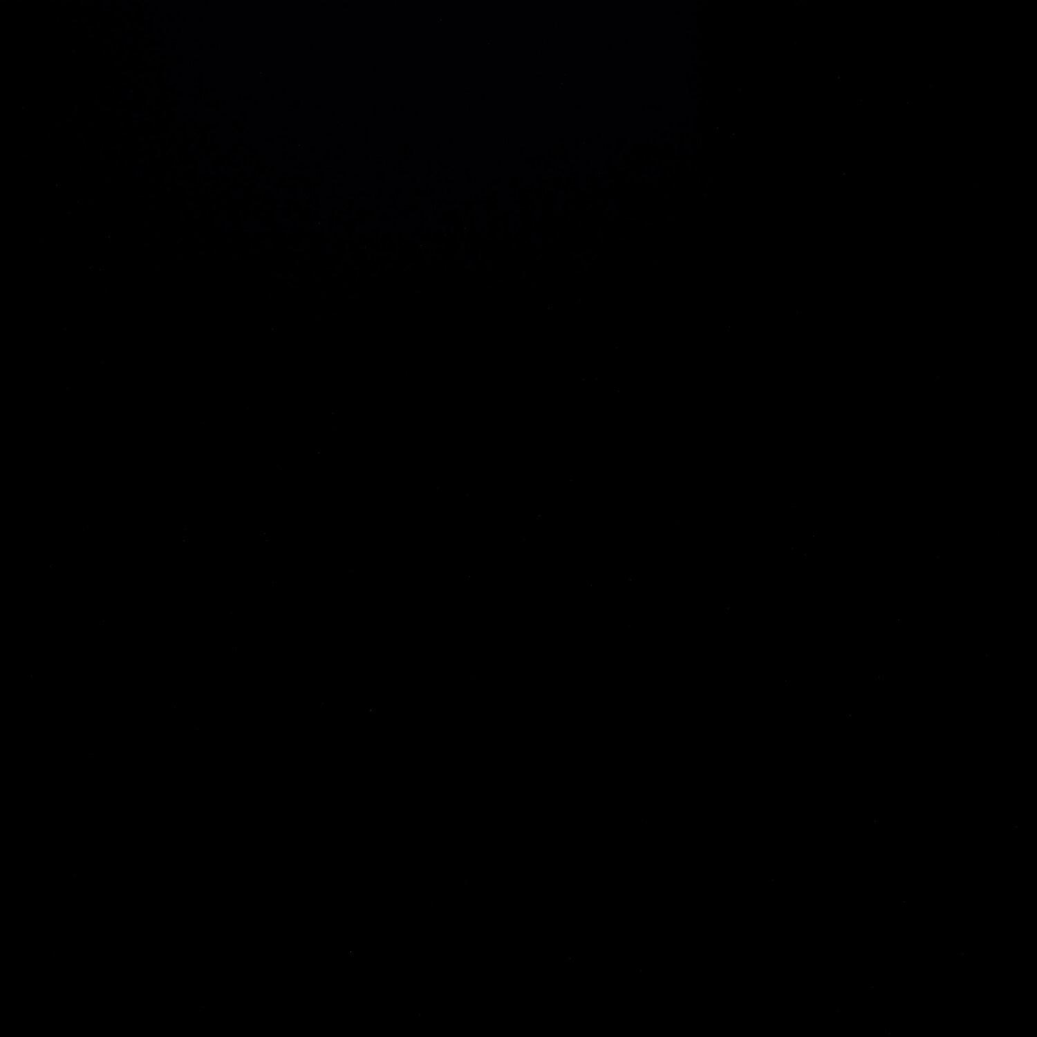 A photo captured from the webcam at the time the audio was recorded