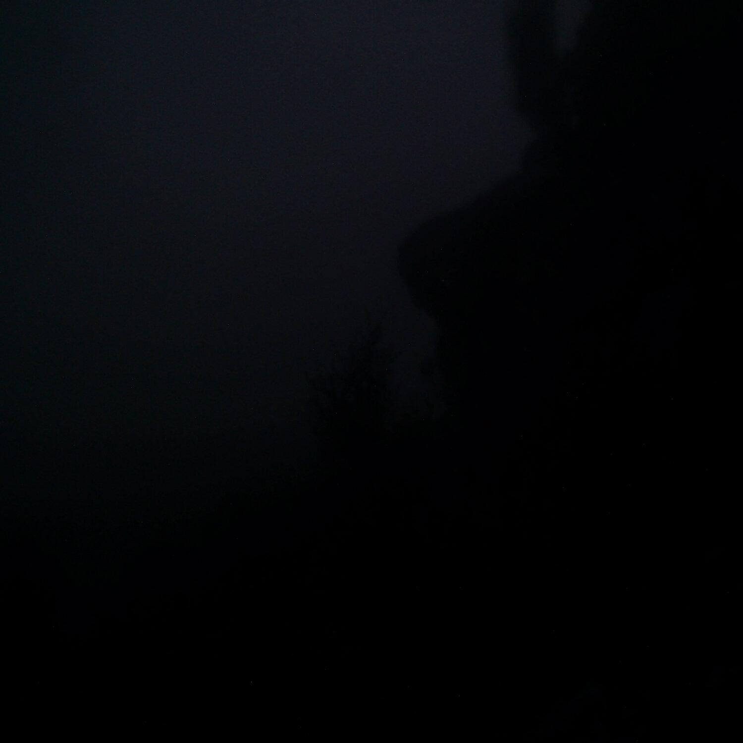 A photo captured from the webcam at the time the audio was recorded
