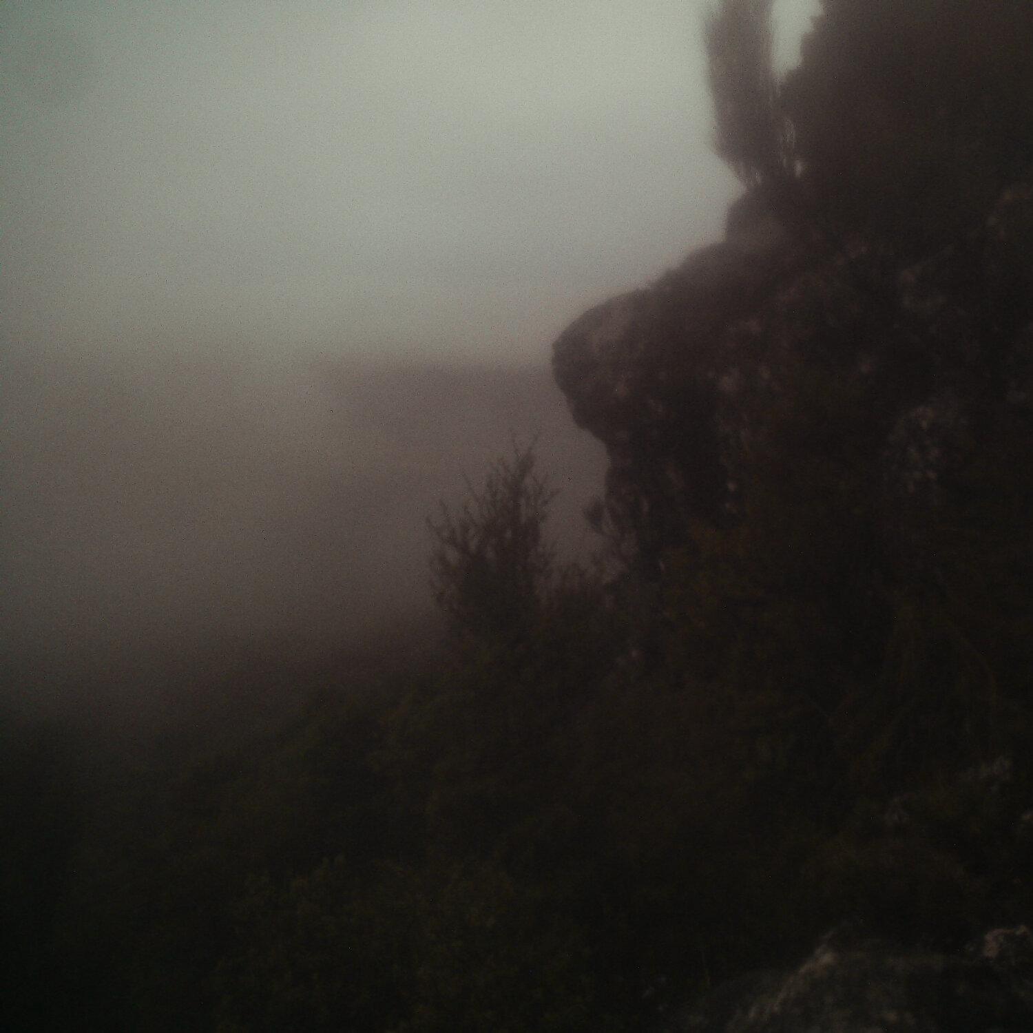 A photo captured from the webcam at the time the audio was recorded