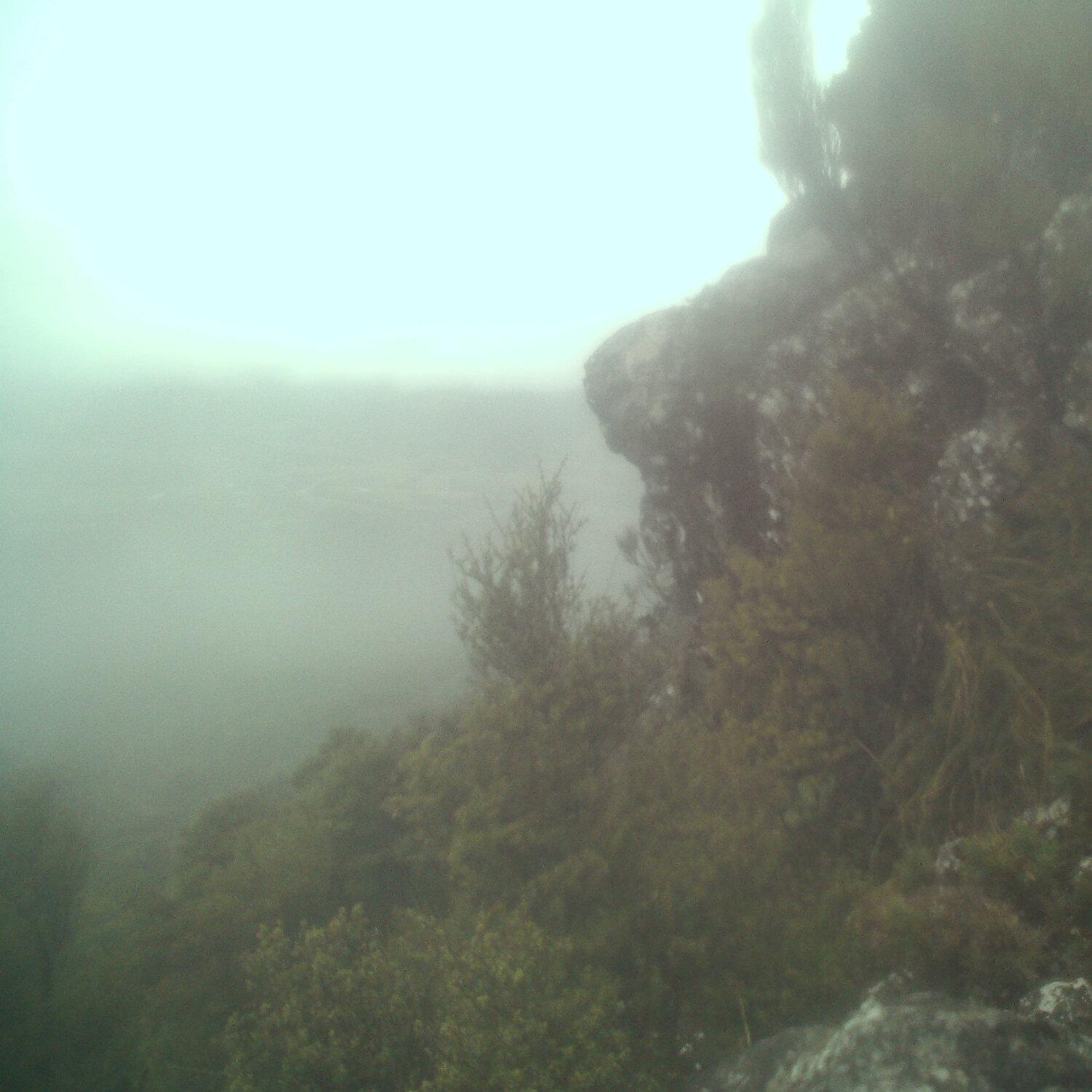 A photo captured from the webcam at the time the audio was recorded
