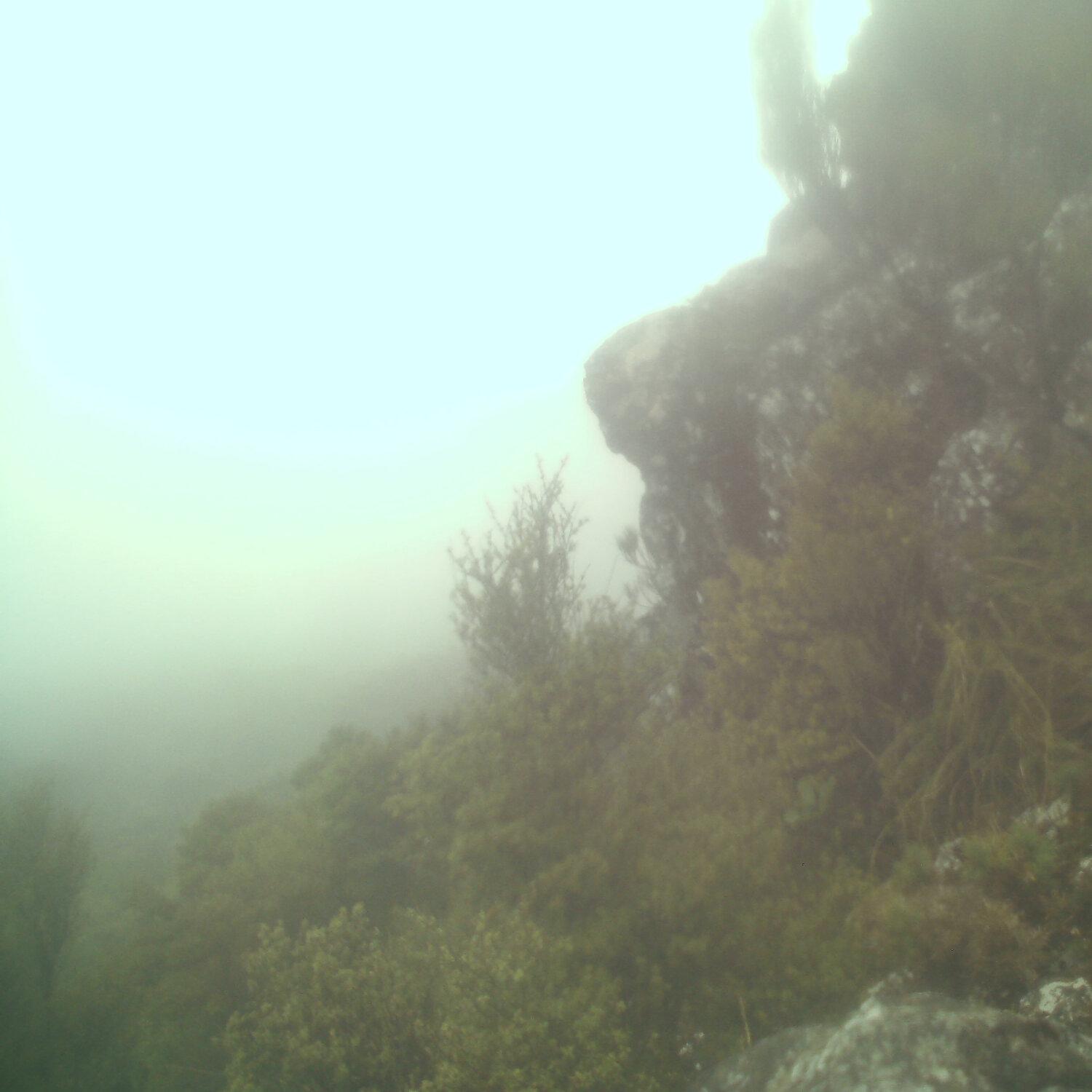 A photo captured from the webcam at the time the audio was recorded