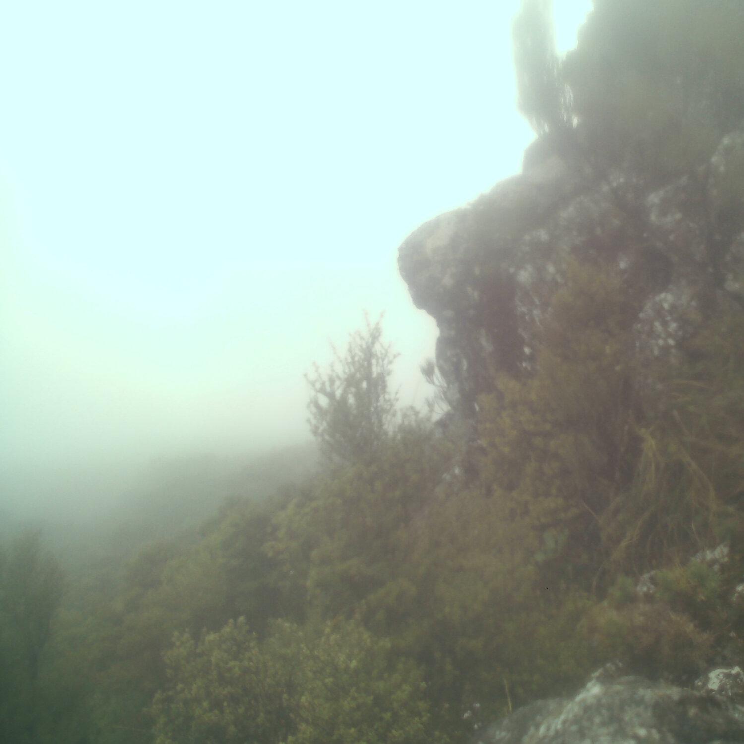 A photo captured from the webcam at the time the audio was recorded