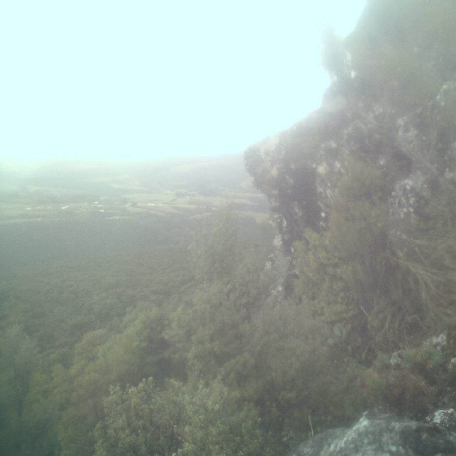A photo captured from the webcam at the time the audio was recorded